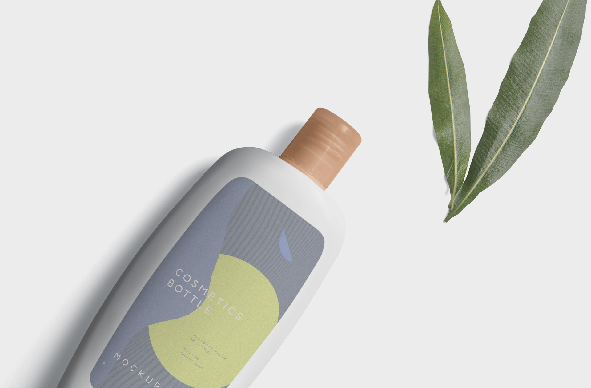 beauty packaging PSD