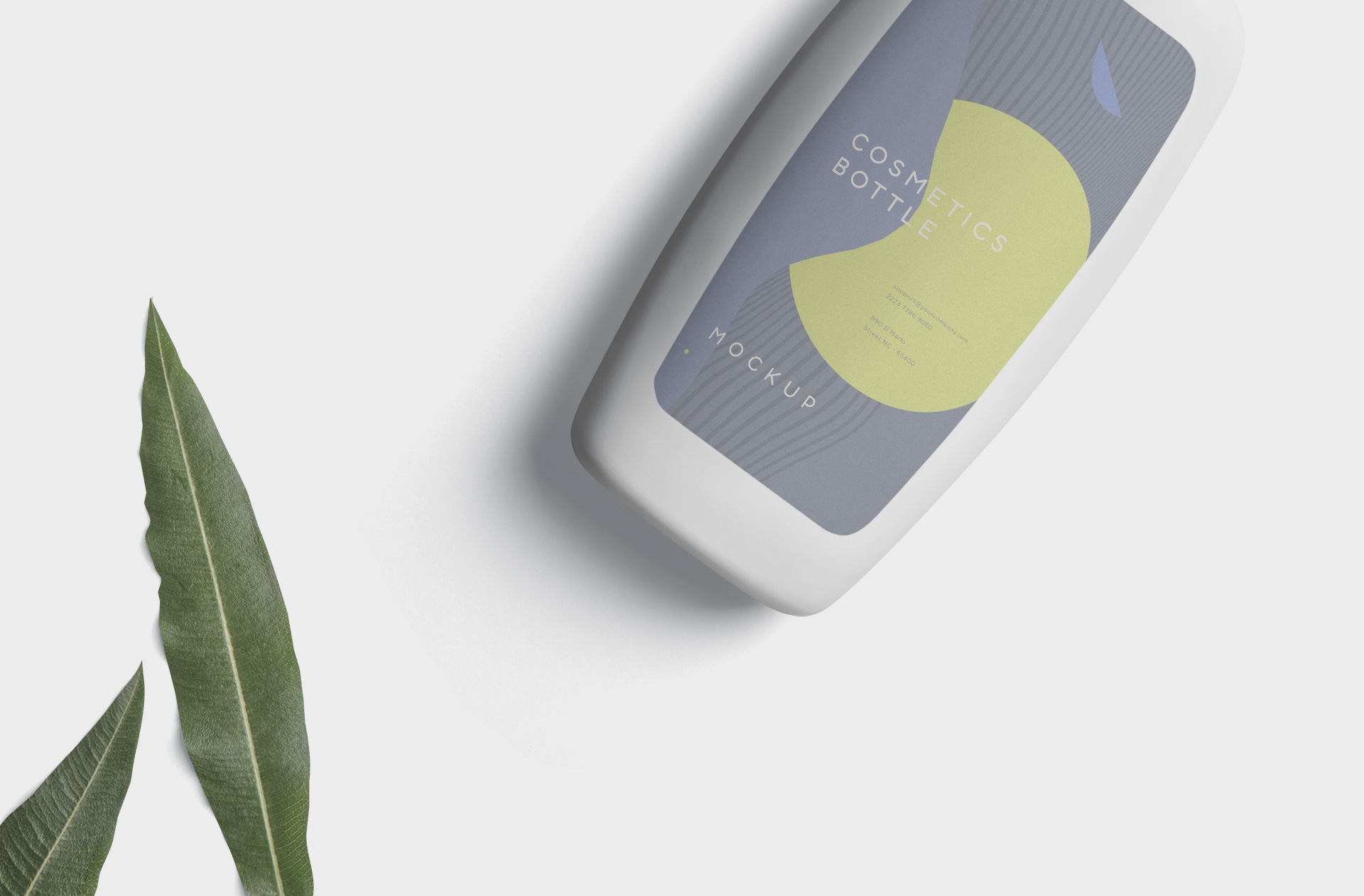 beauty packaging PSD