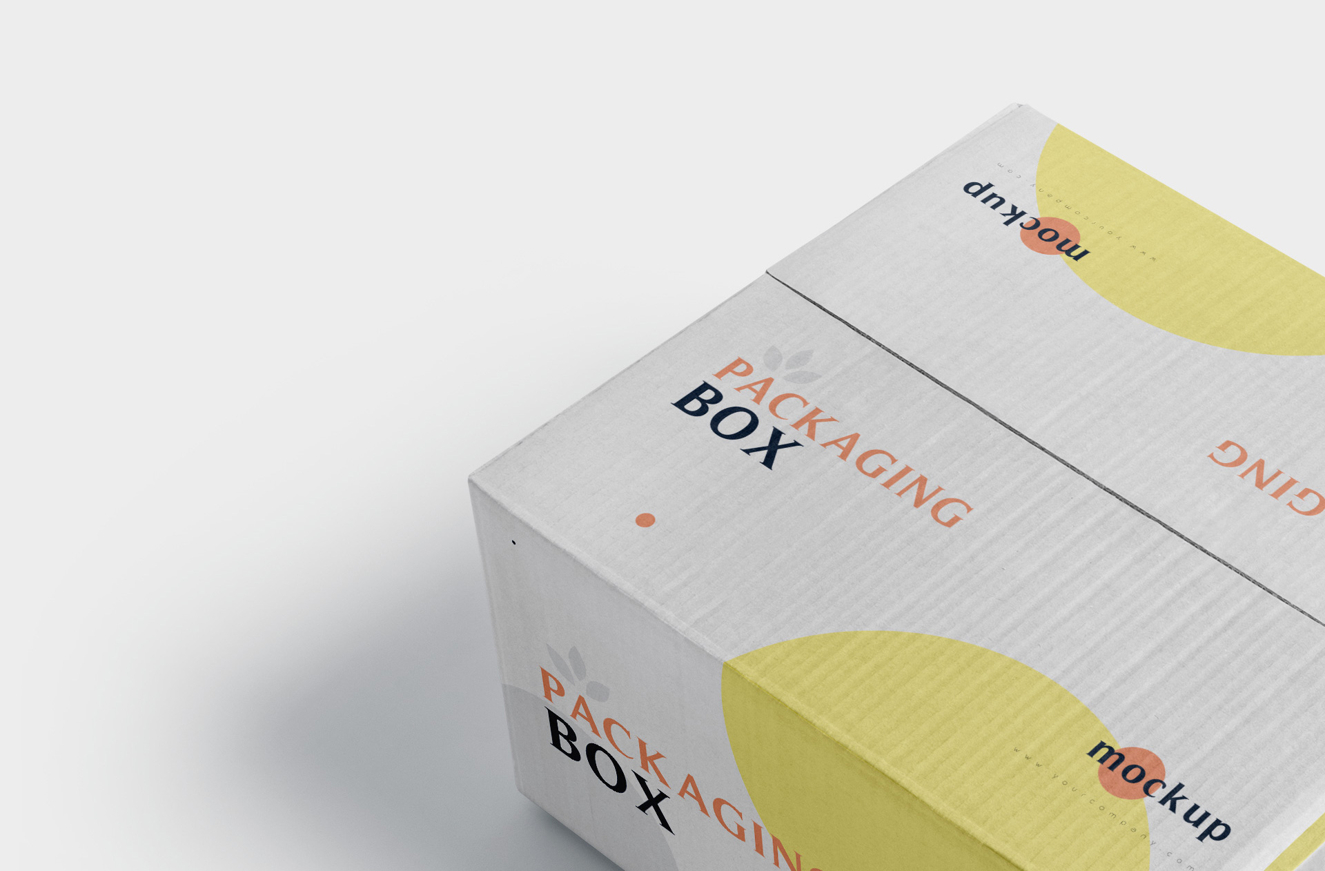 box branding template