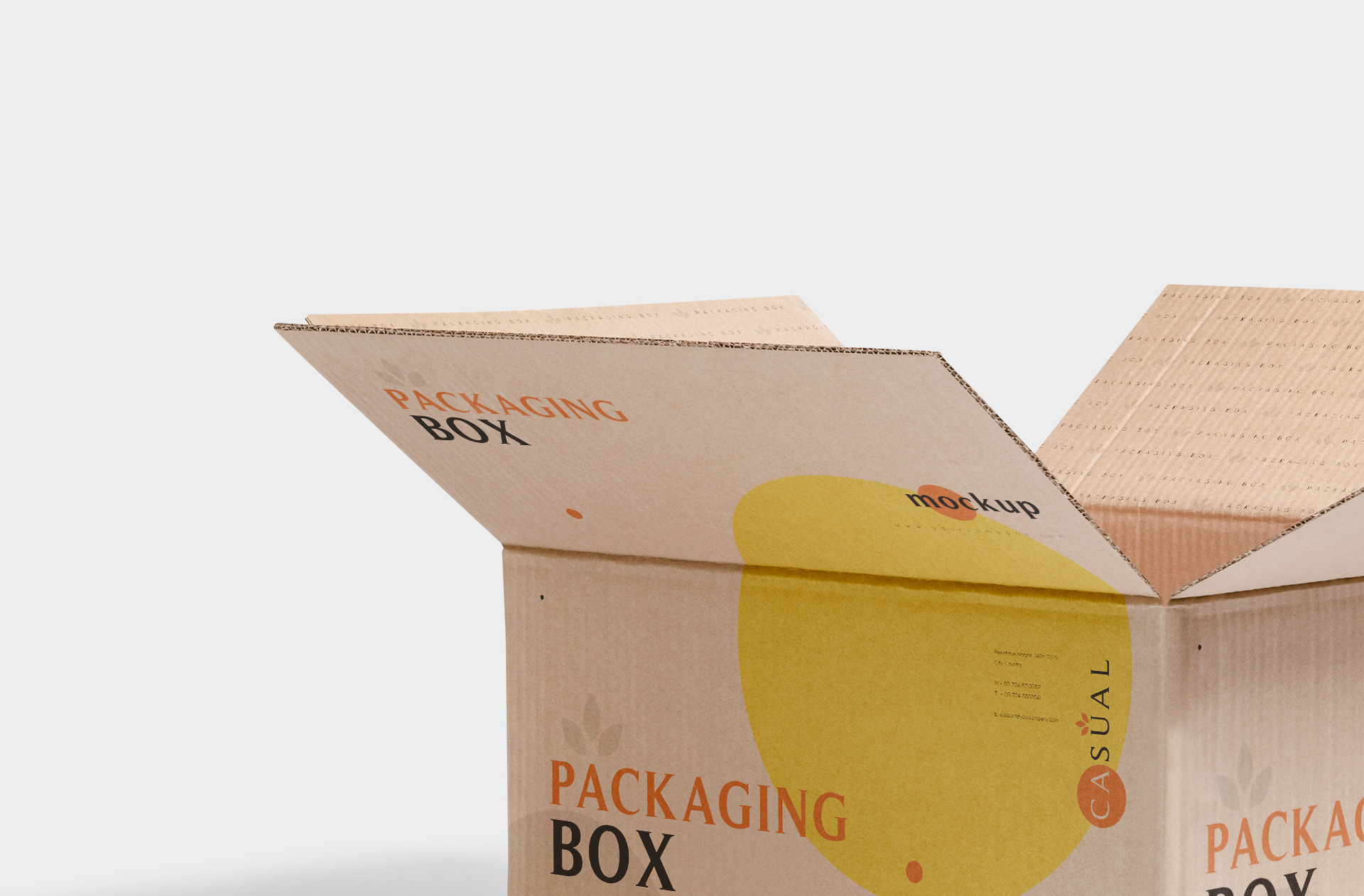 box branding template