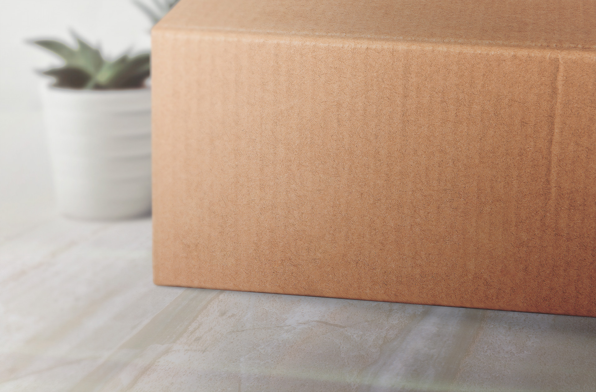 box branding mockup