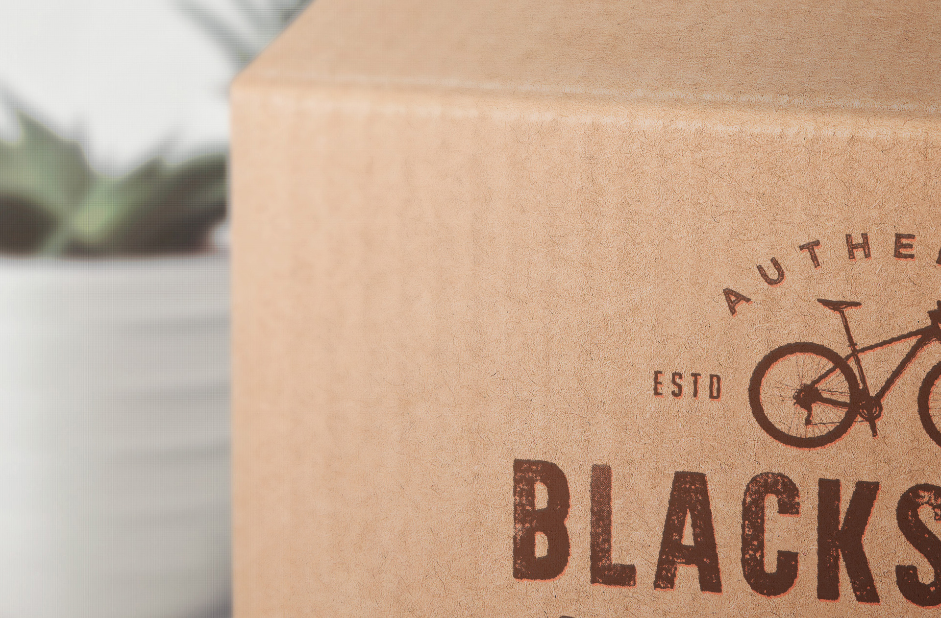box branding mockup