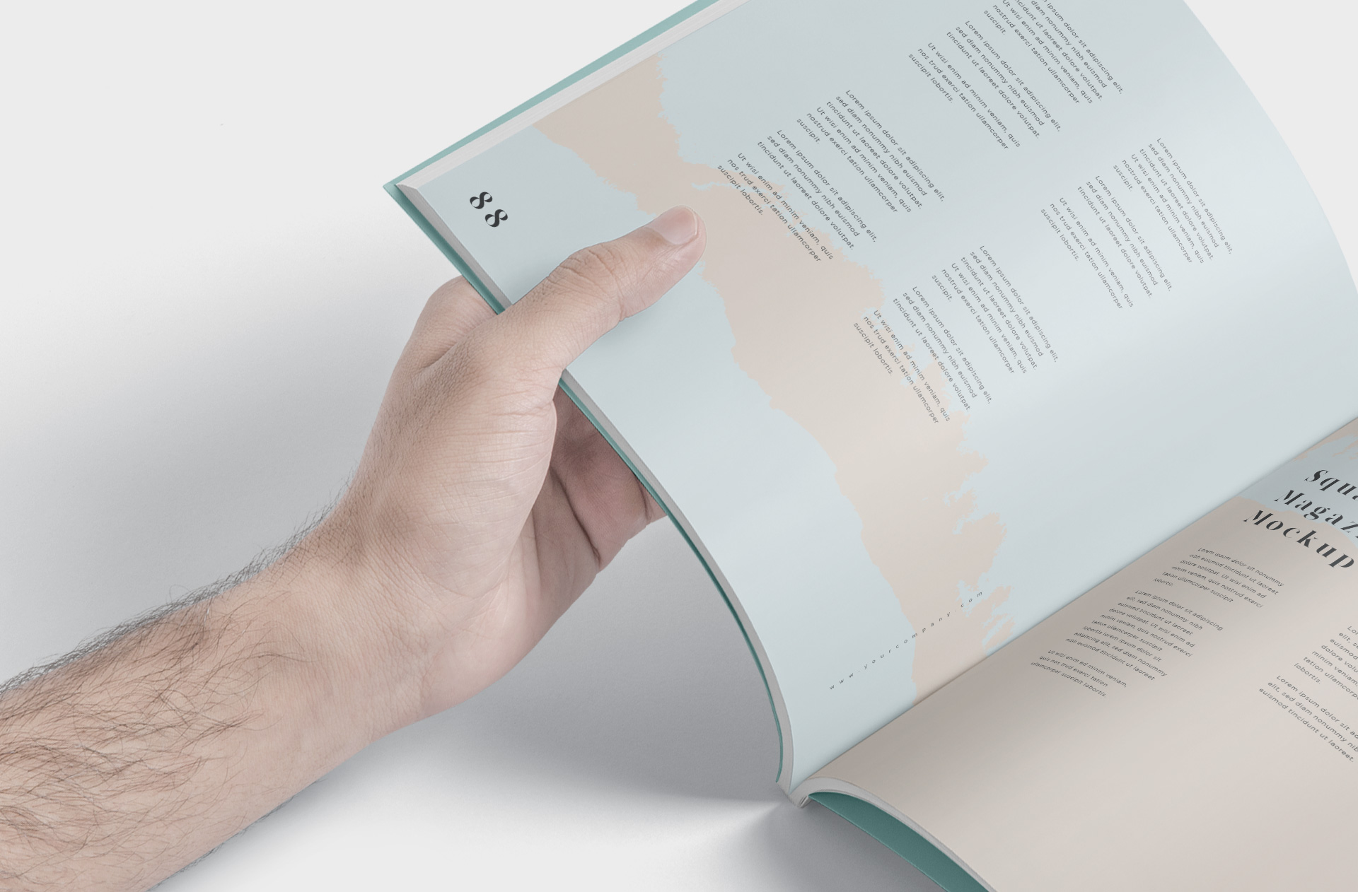 book content showcase
