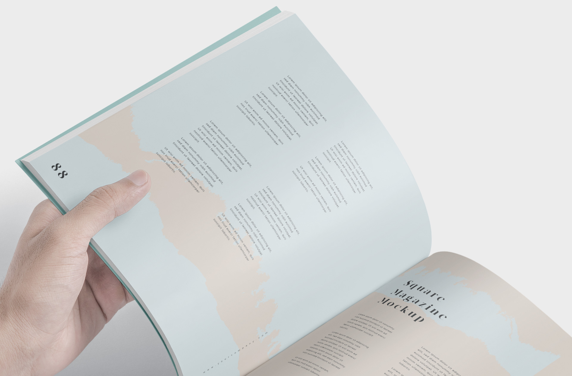 book content showcase