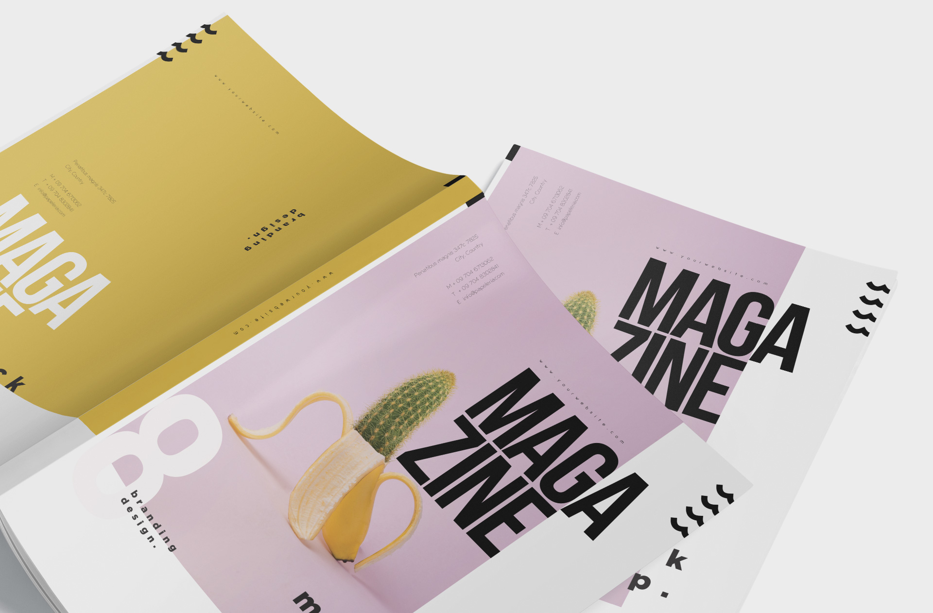 book content display PSD