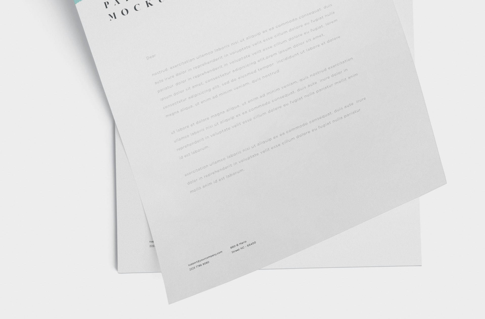 business branding mockup
