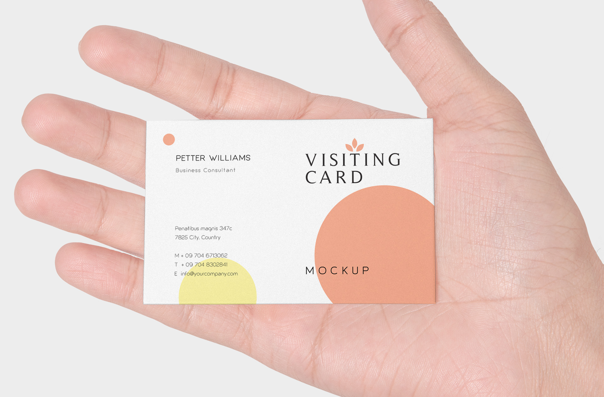 branding card mockup