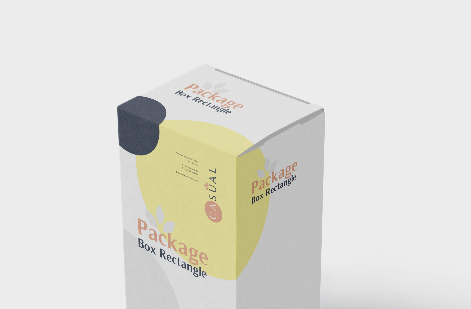 branding mockup