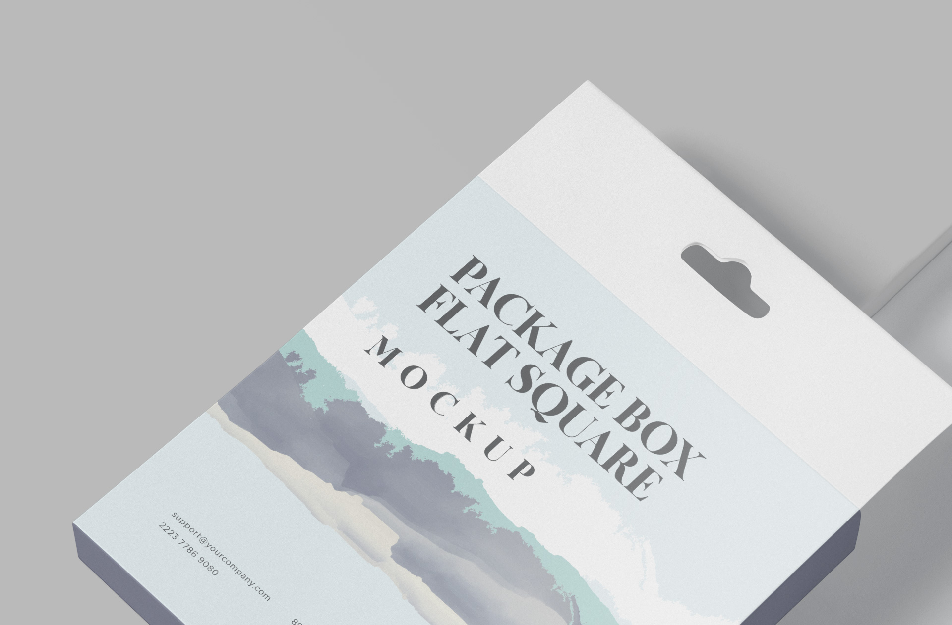 3D box mockup