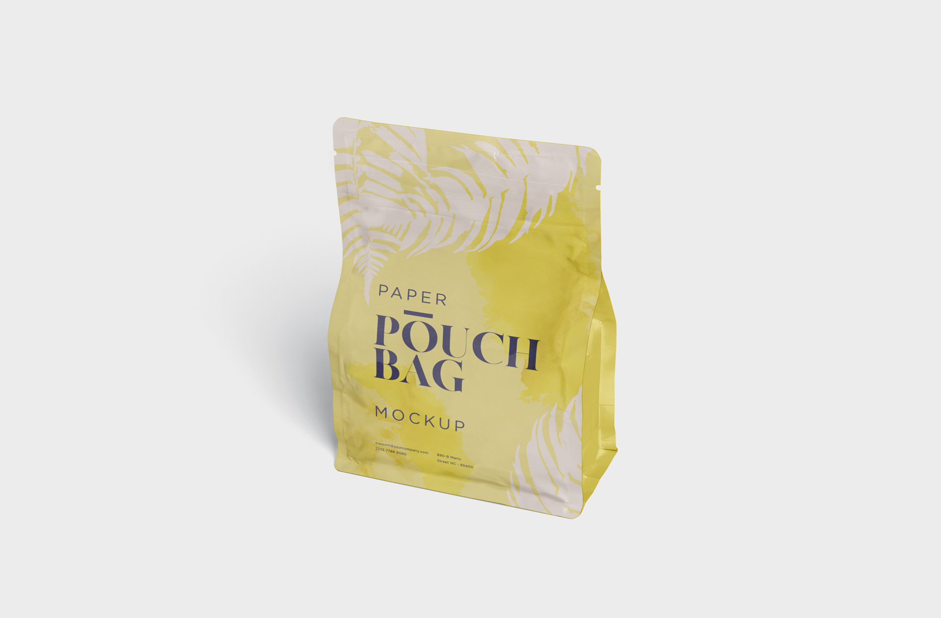 Standing Paper Pouch Bag Mockup