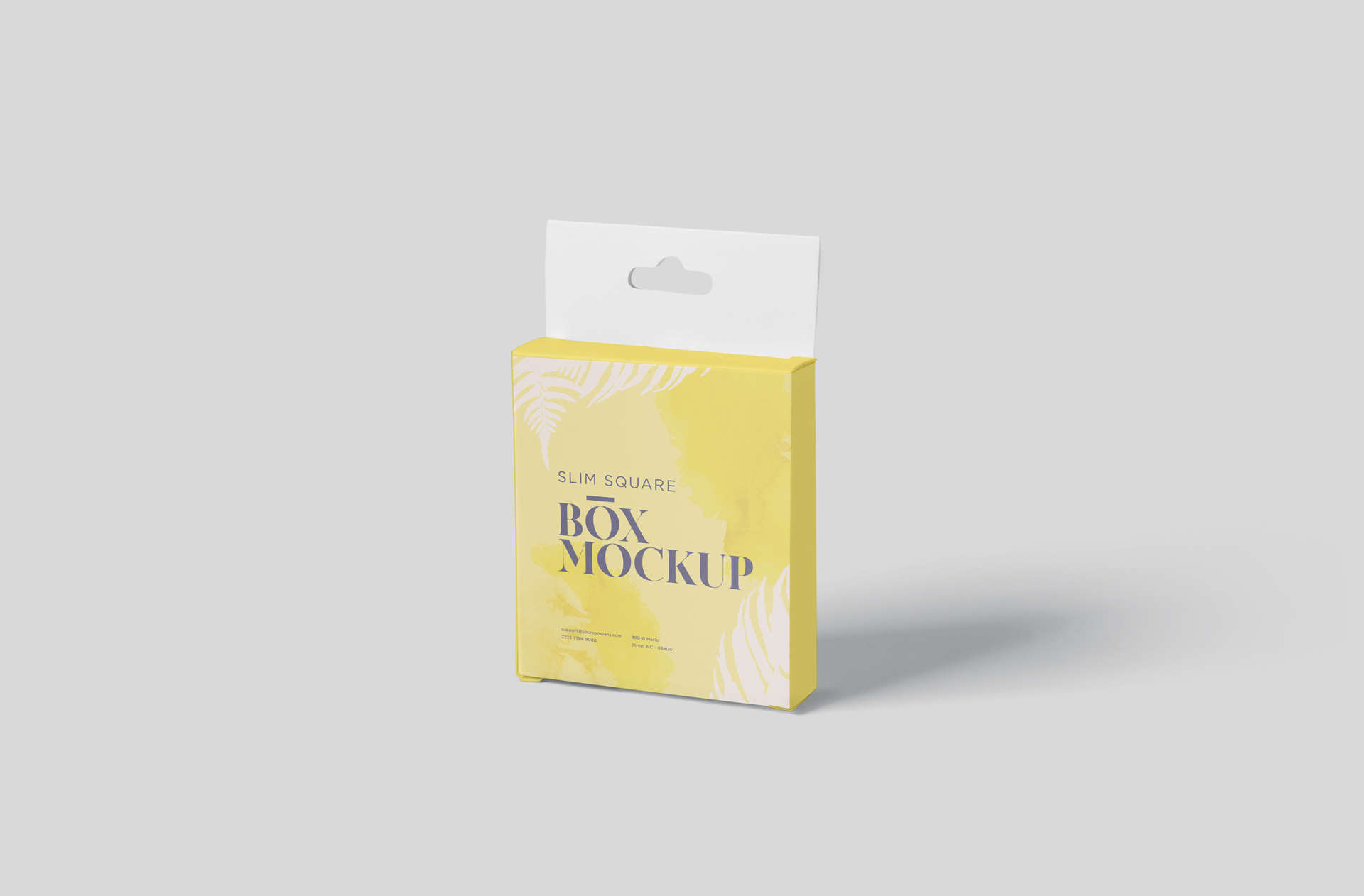 Standing Slim Square Box Mock-up with Hanging Tab