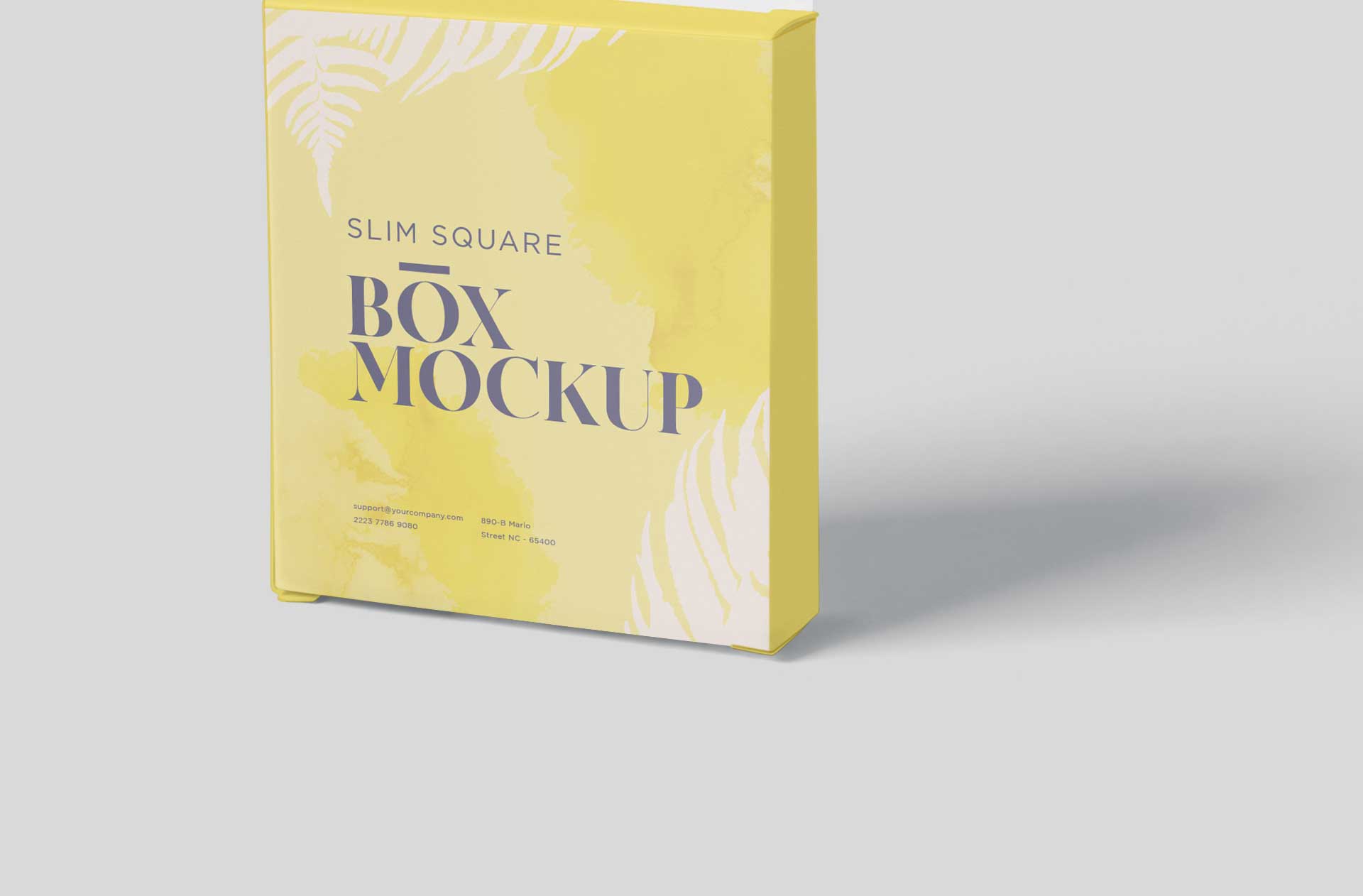 carton box mock-up