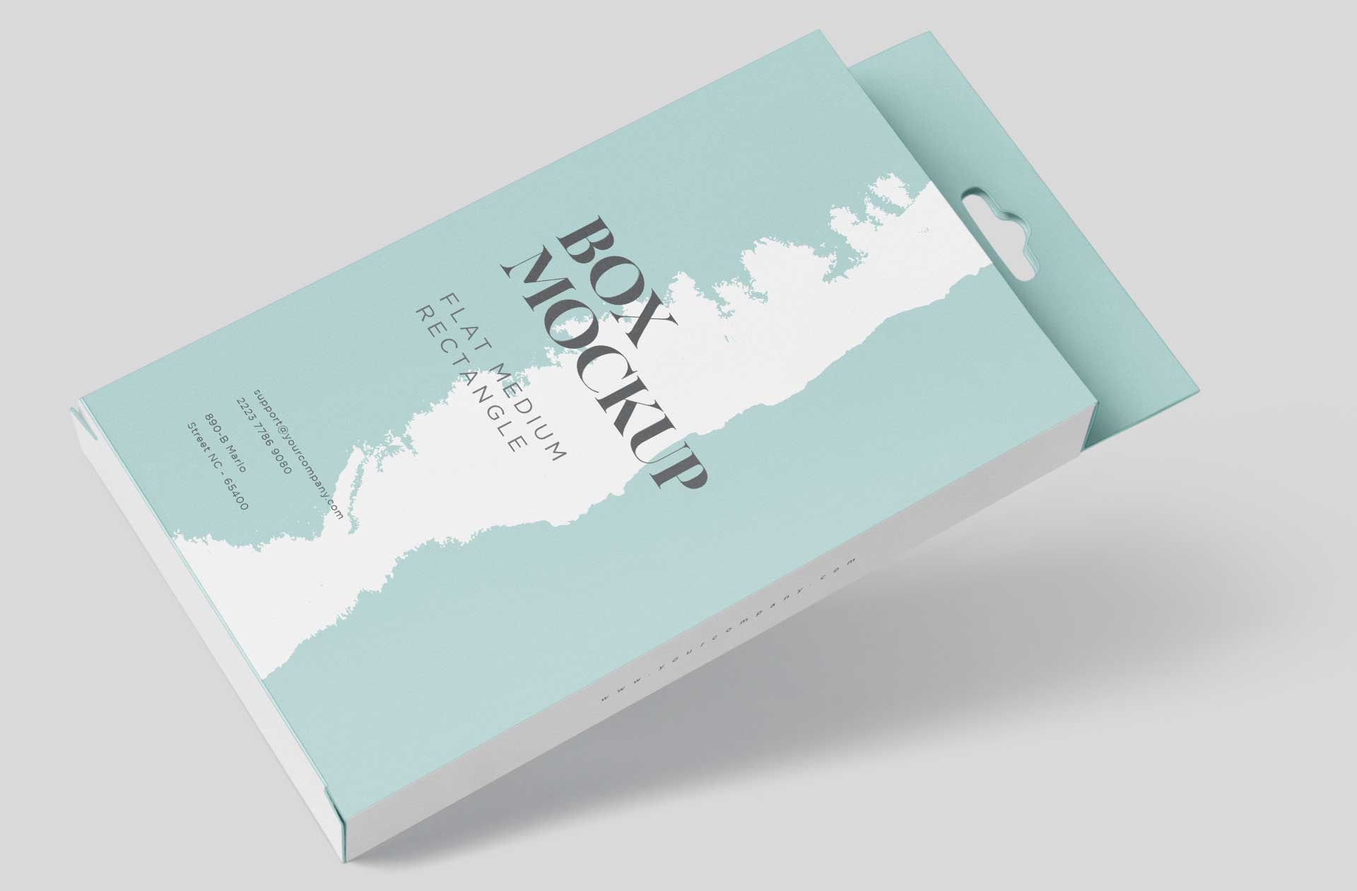 blister packaging template