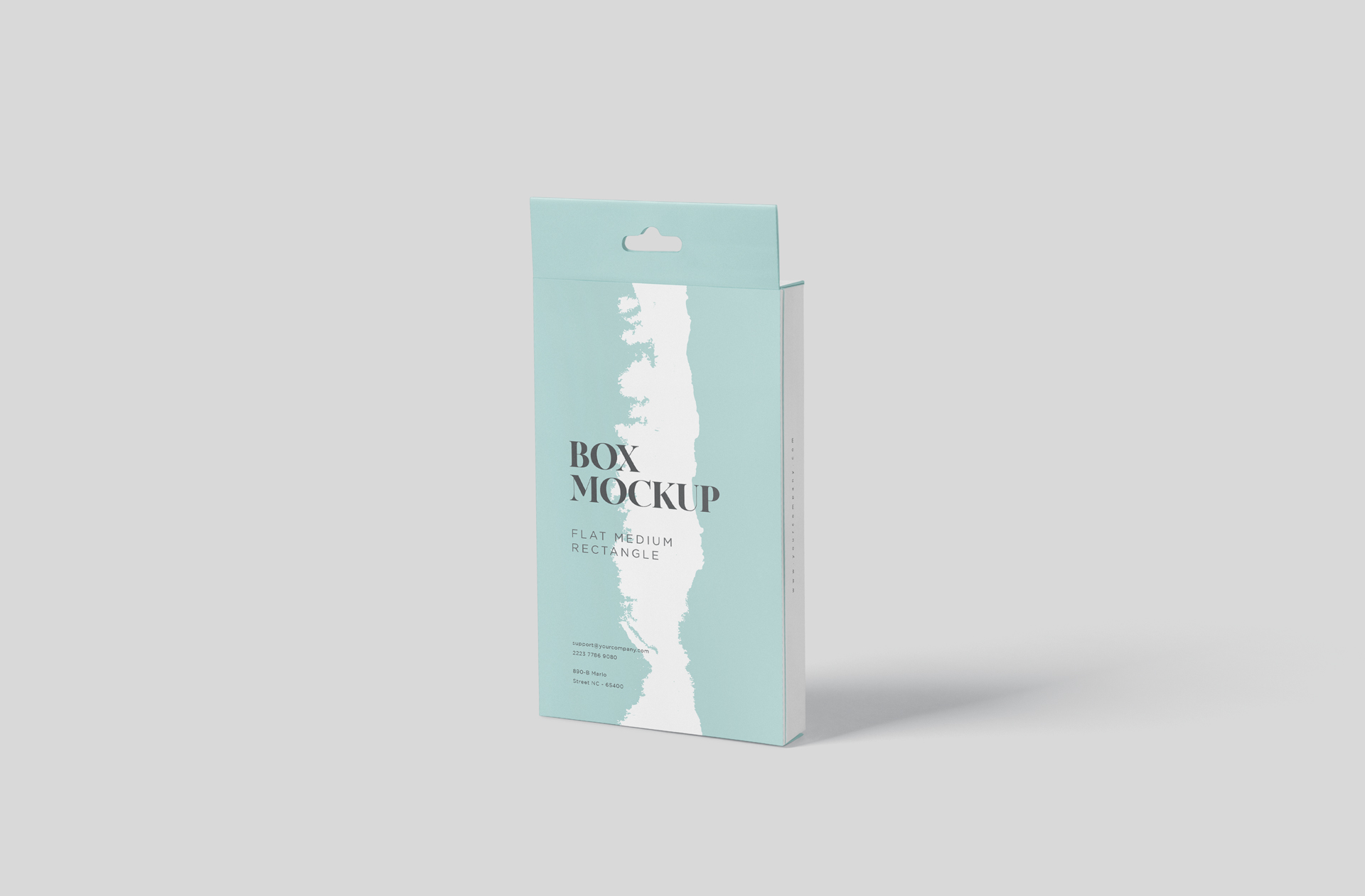 Vertical Flat Hanging Box Mock-up for Packaging