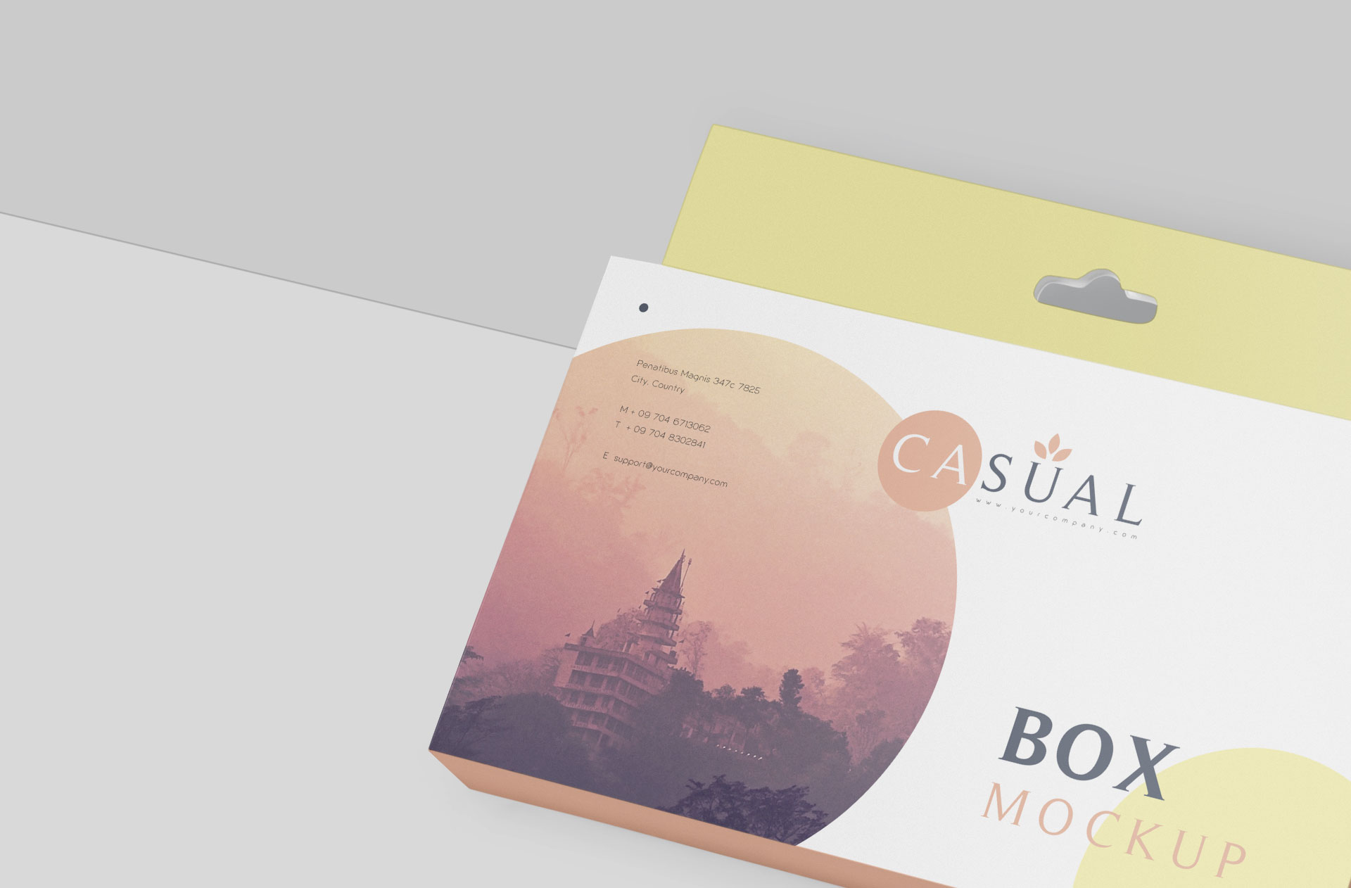 customizable box mock-up