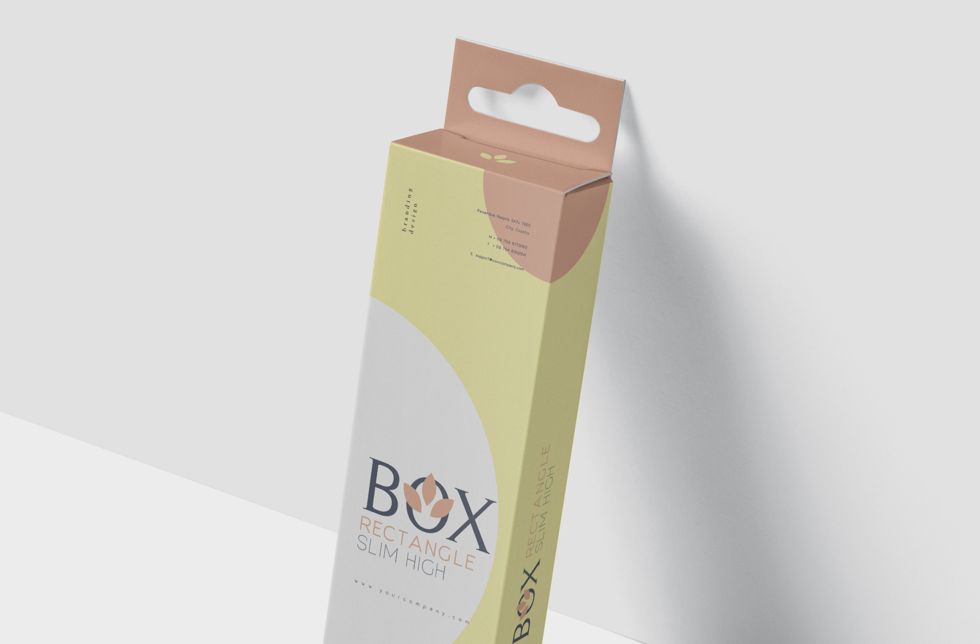 3D box mockup
