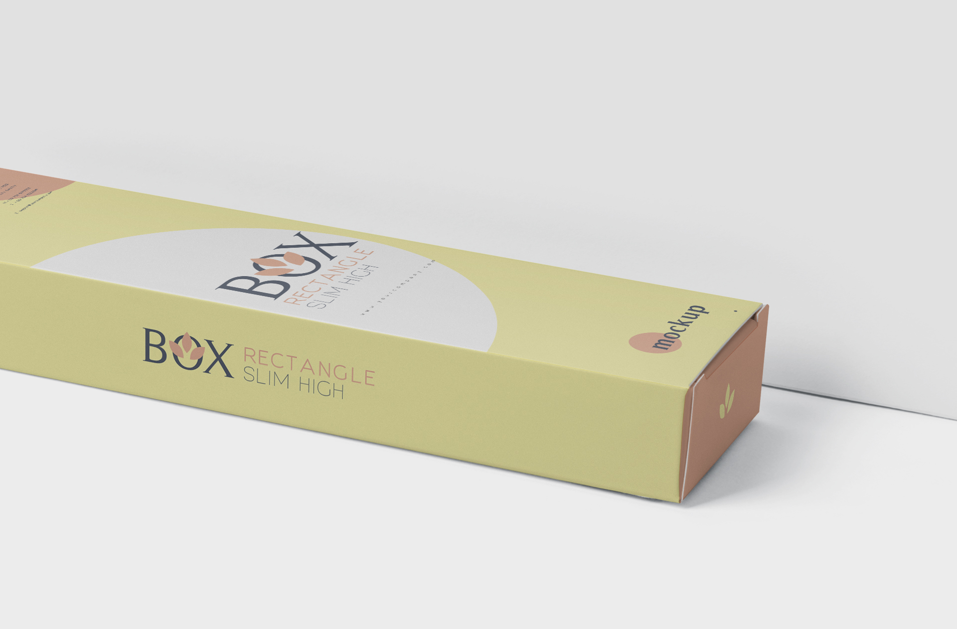 carton box mockup
