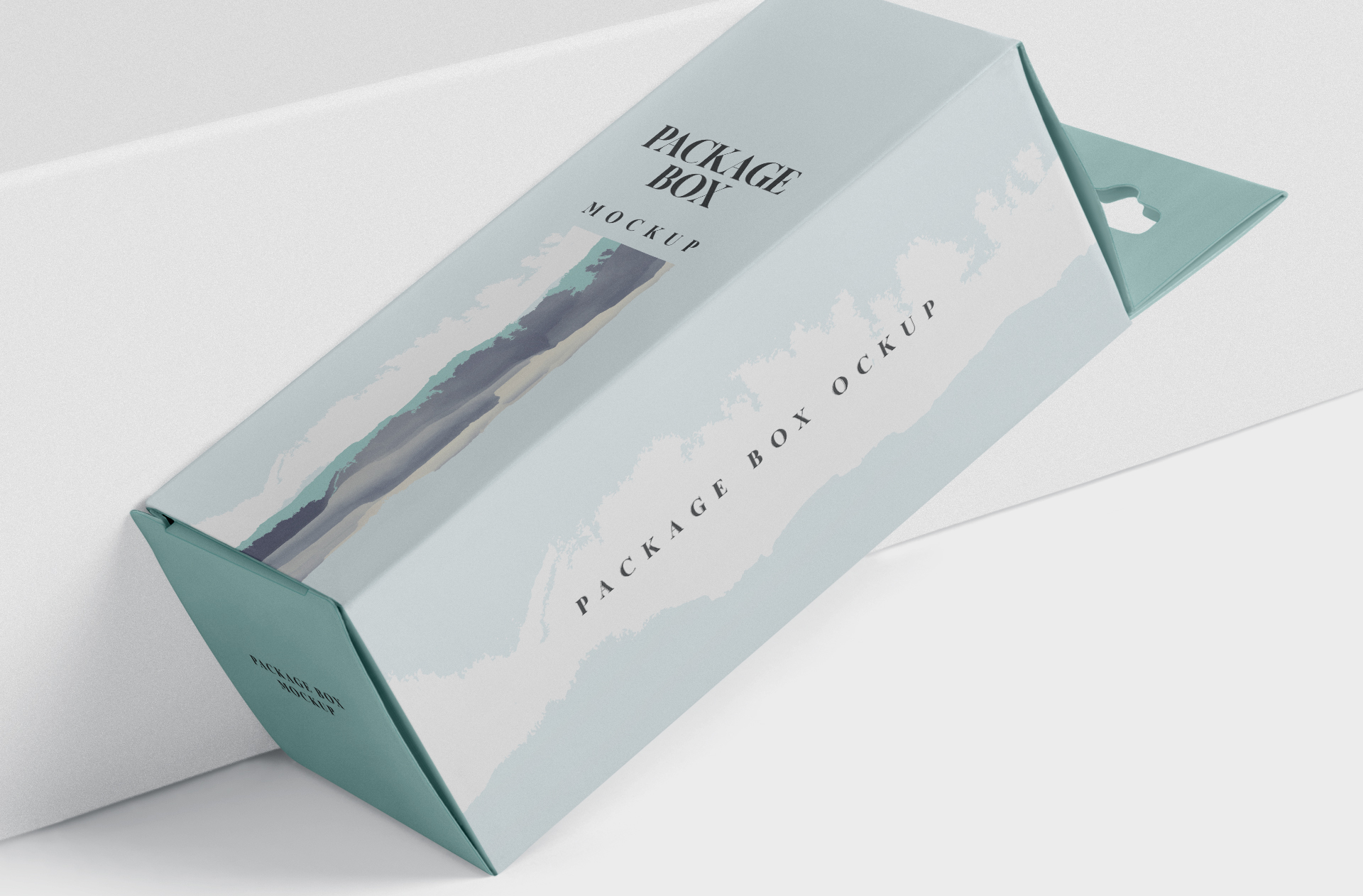 branding box mock-up