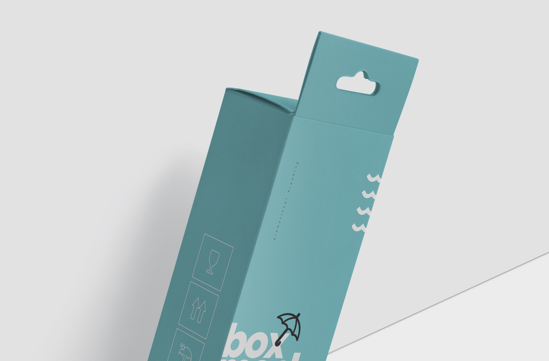 branding box mockup