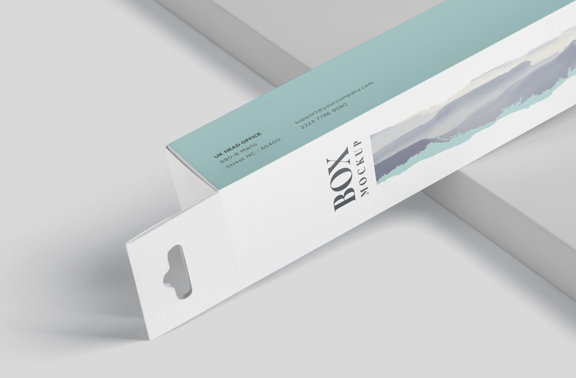 carton packaging template