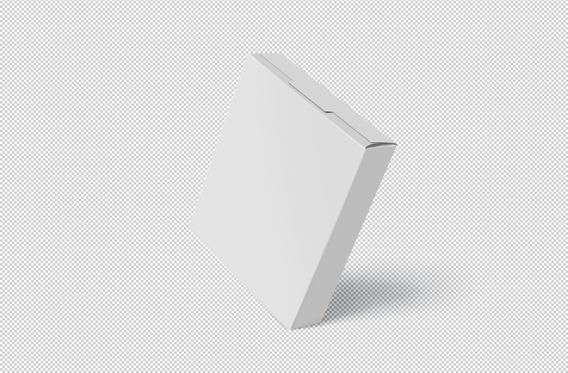 branding packaging template