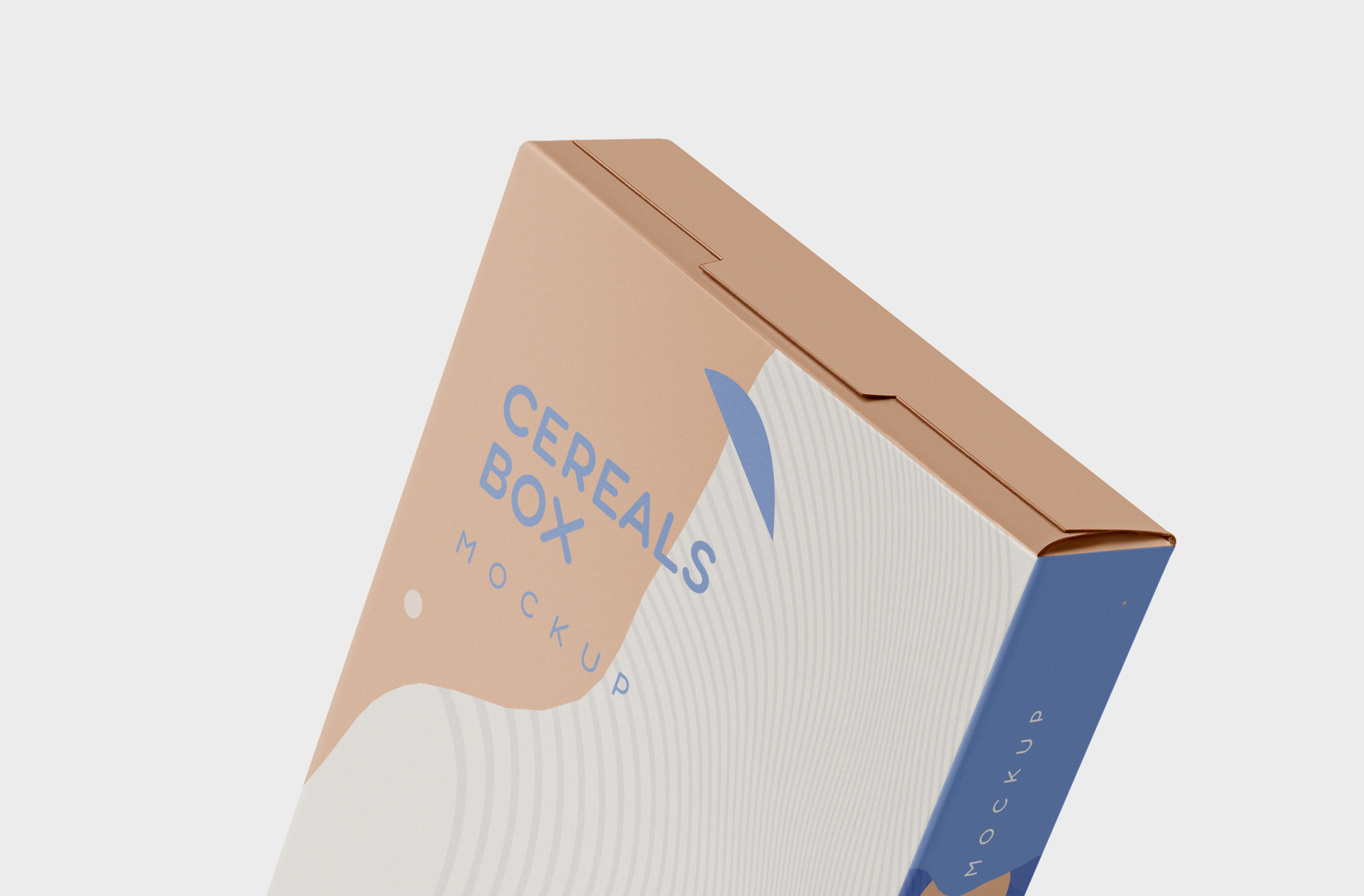 branding packaging template