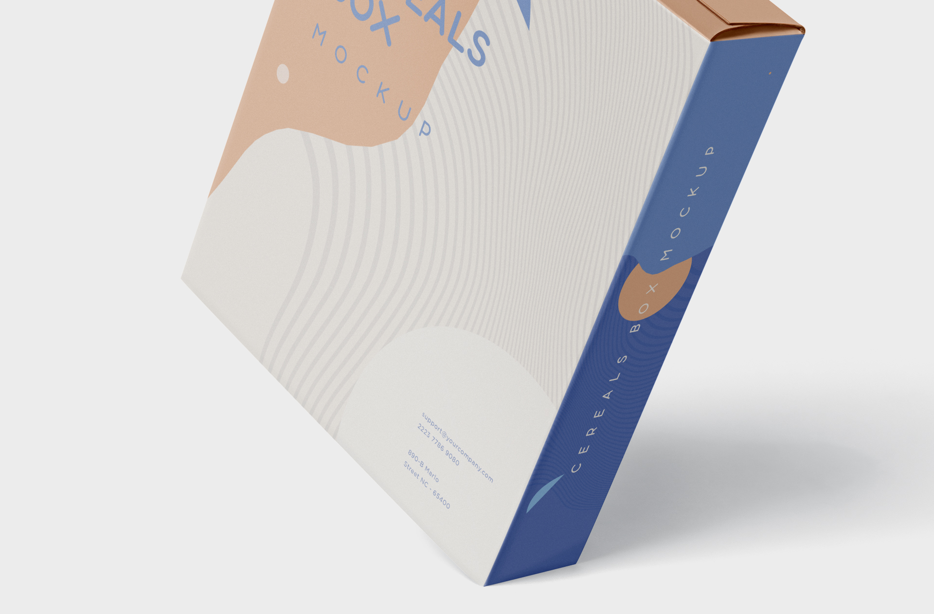 branding packaging template