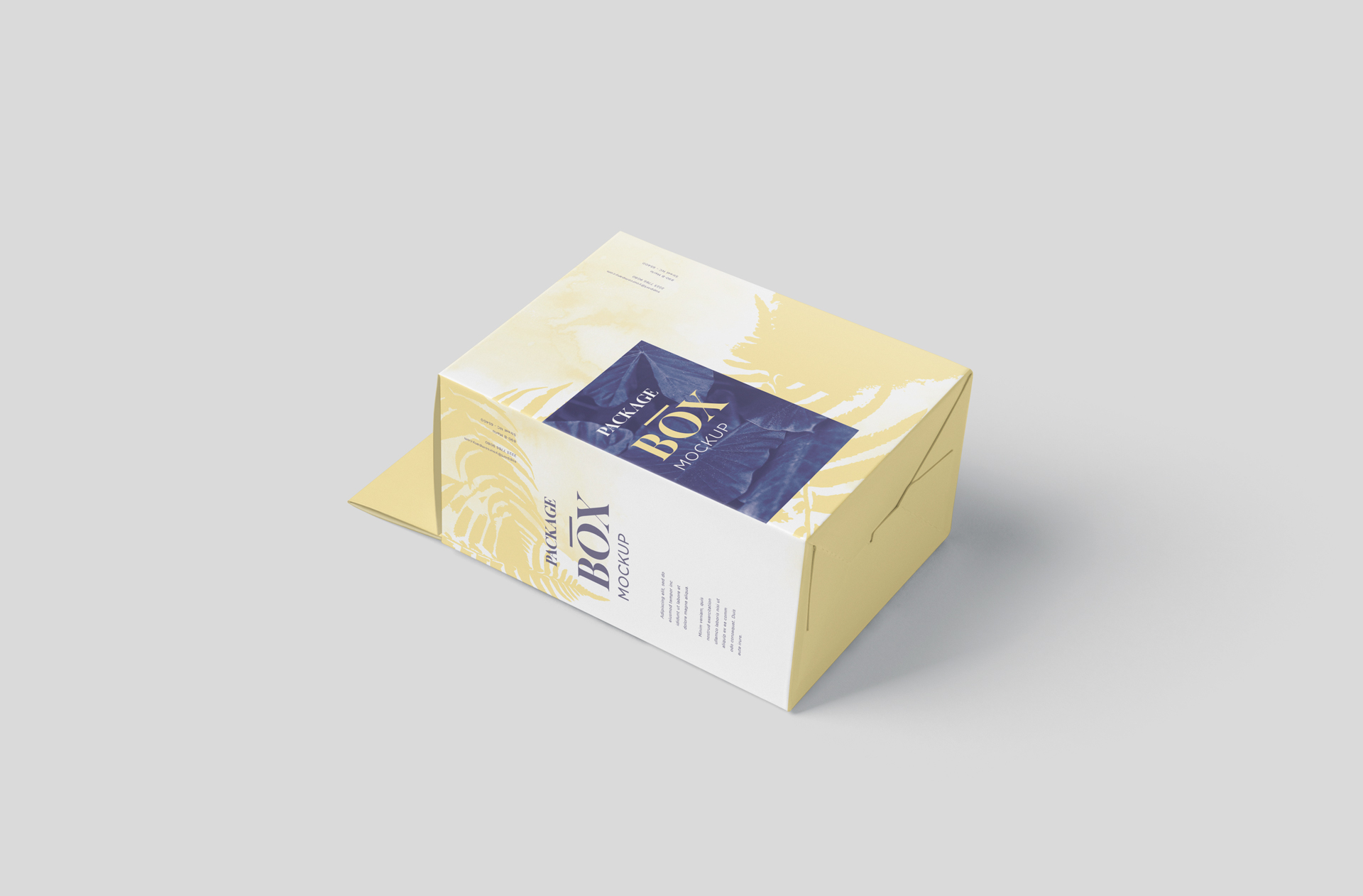 Premium Hanging Packaging Box Mock-up for Product Display