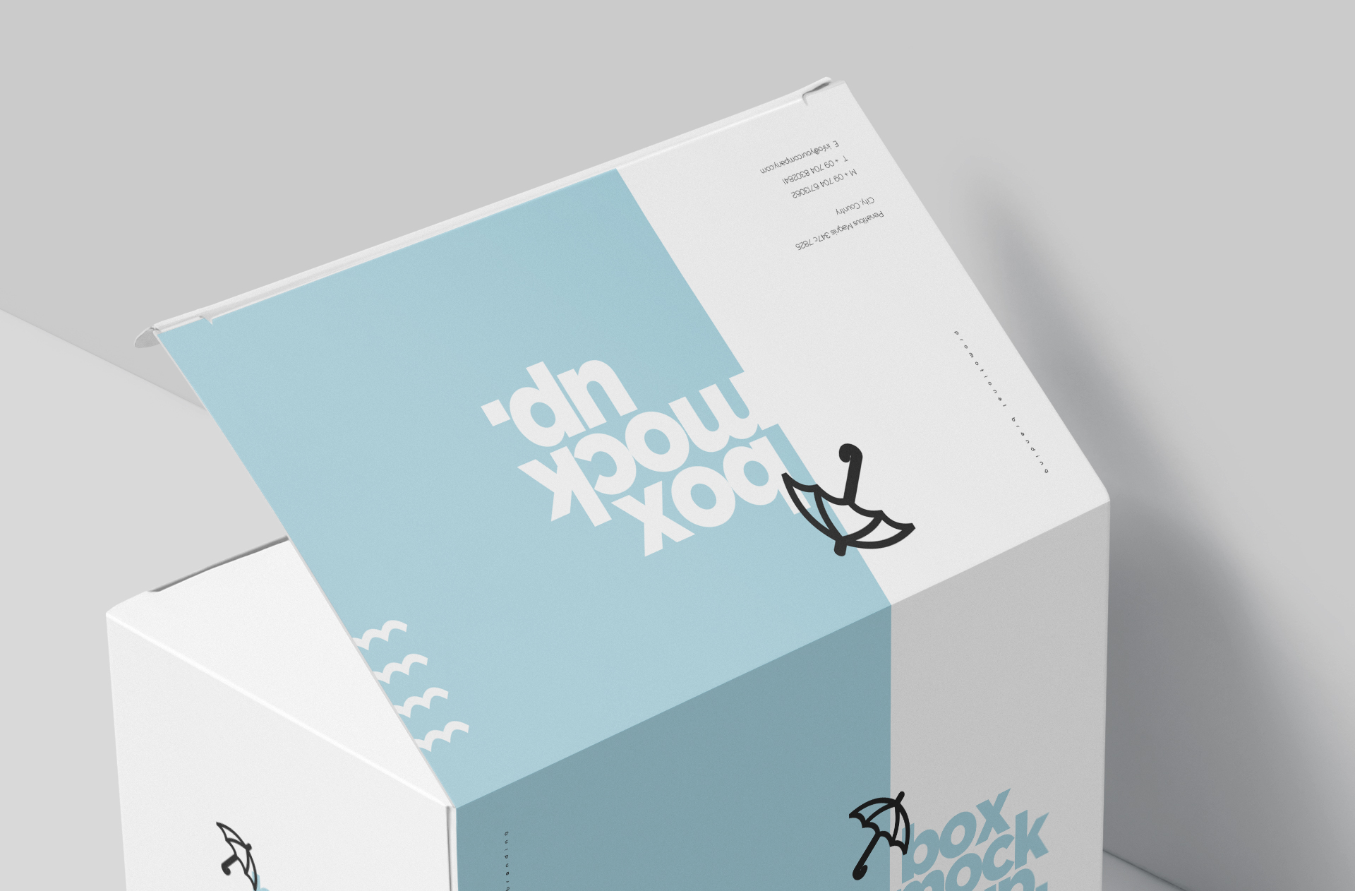 corrugated box mockup