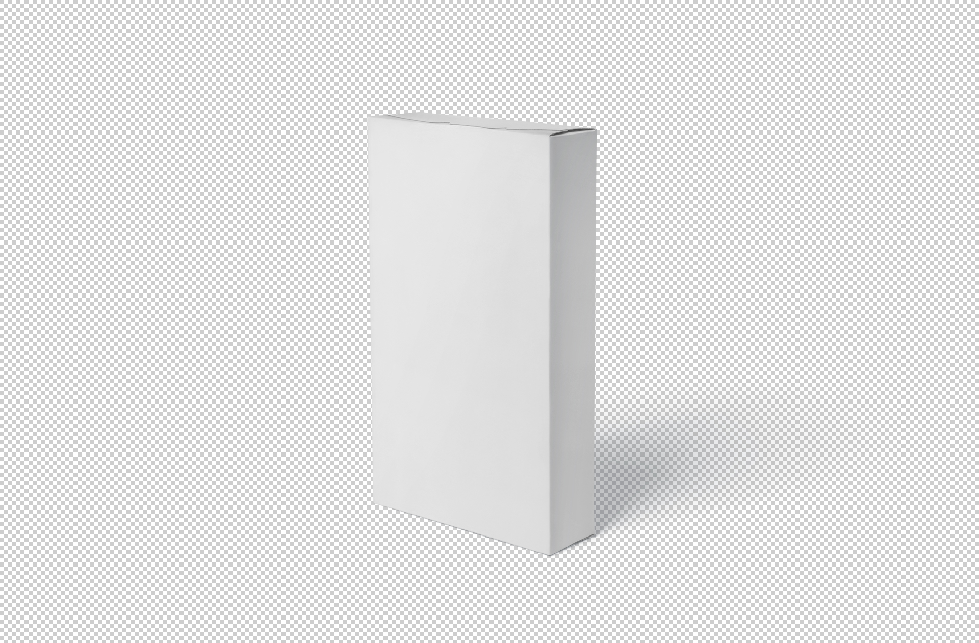 branding packaging template