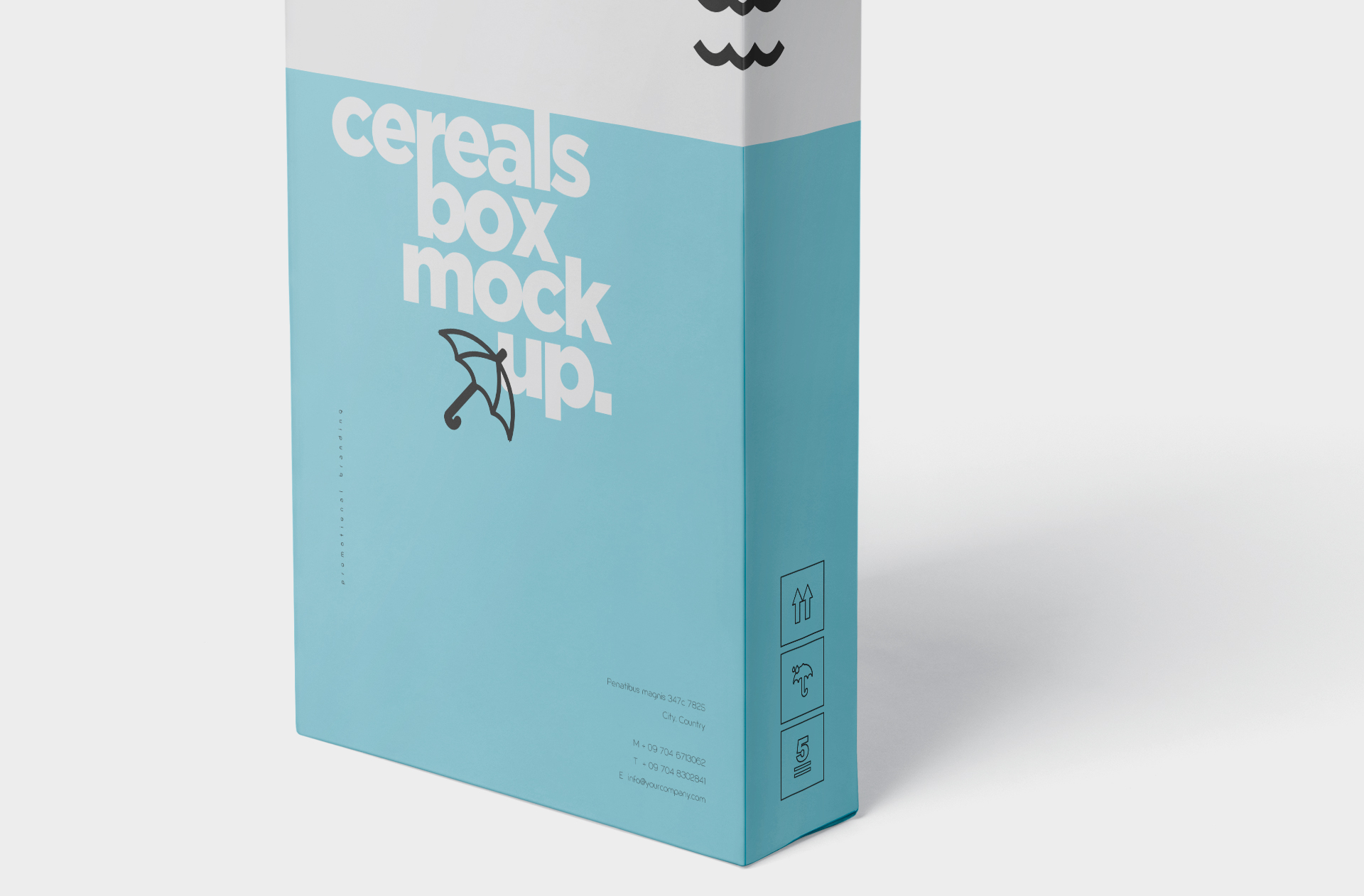 branding packaging template