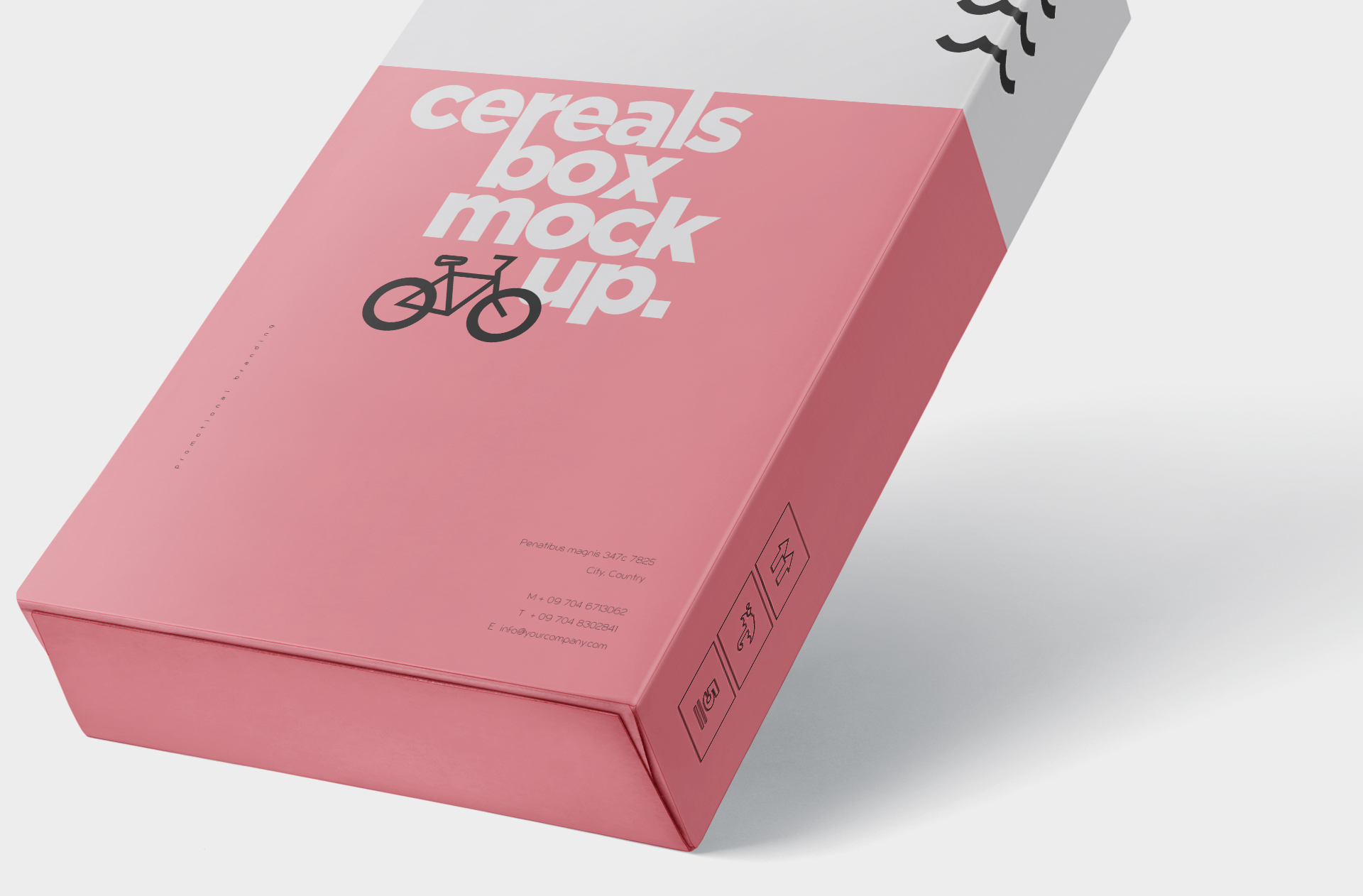 biodegradable food packaging