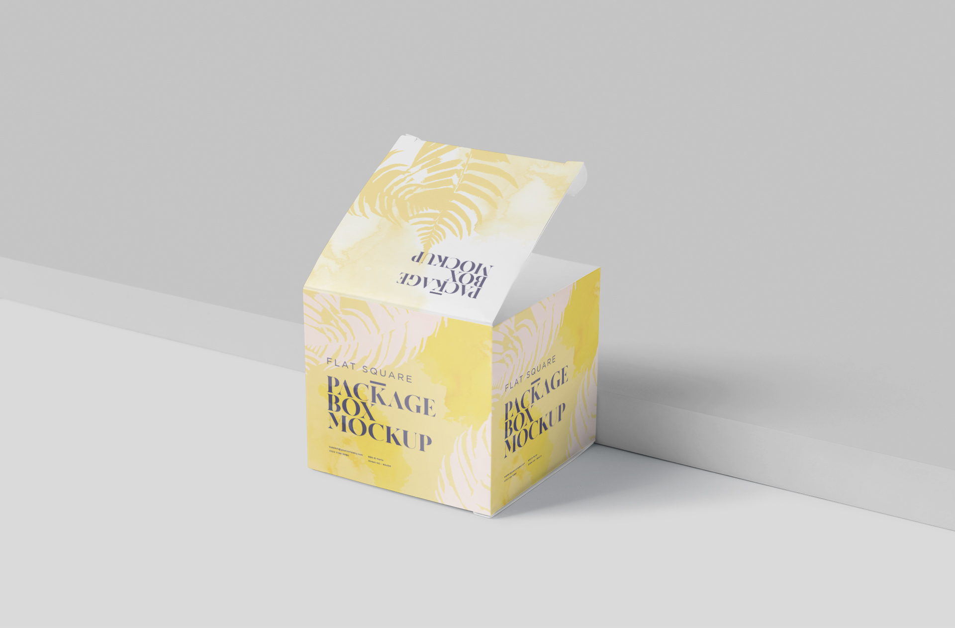 Packaging Box Mockup with Open Flaps