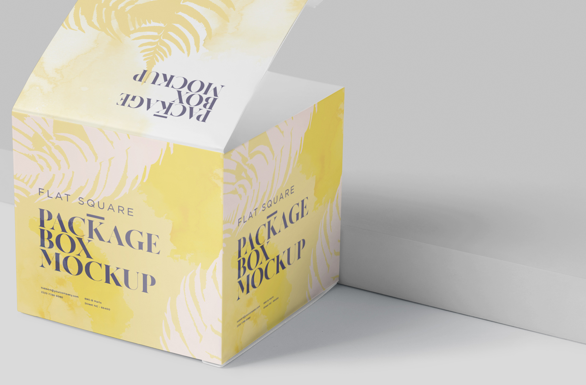 box mockup