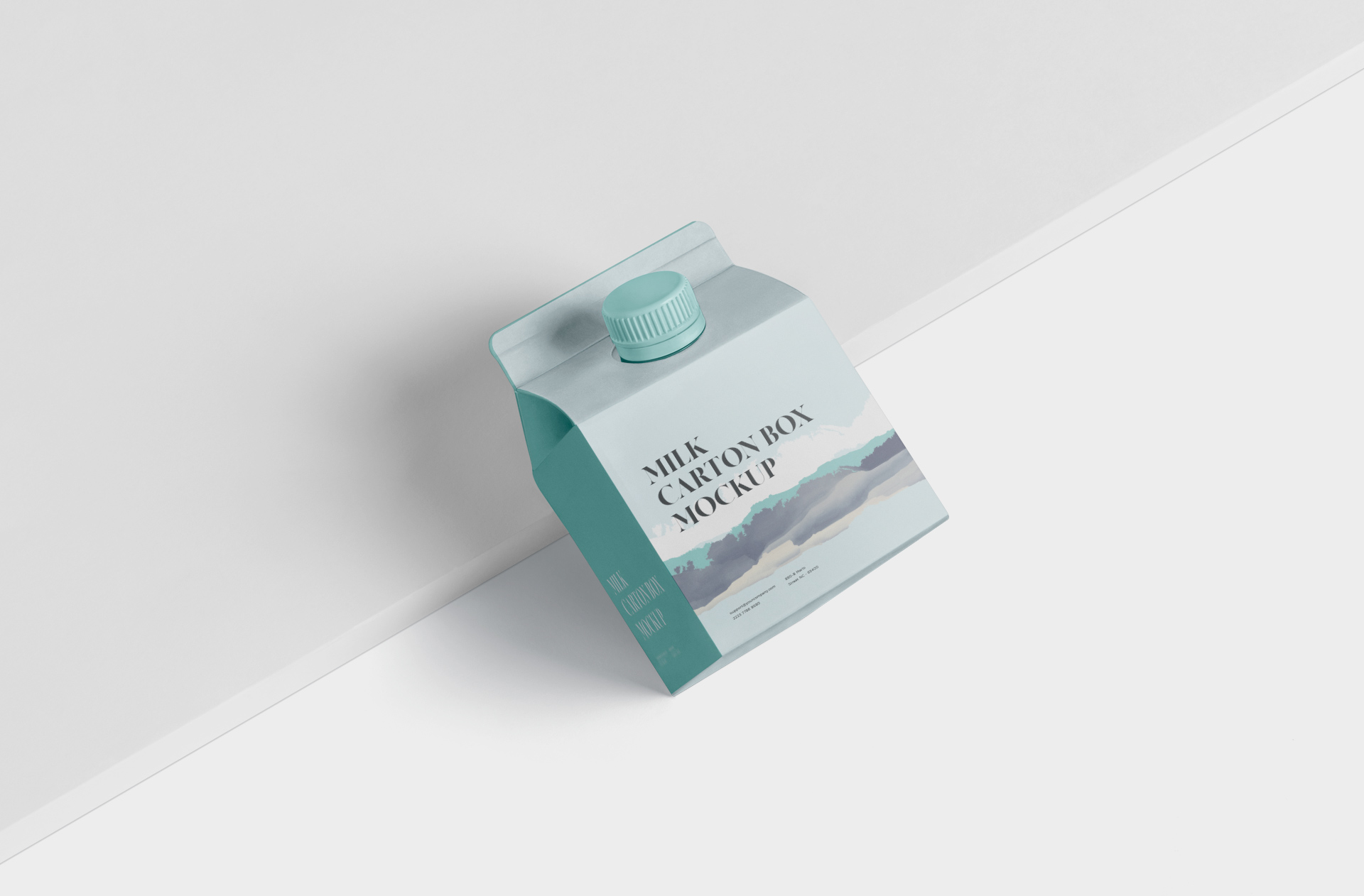 Photorealistic Milk Carton Mock-up for Branding