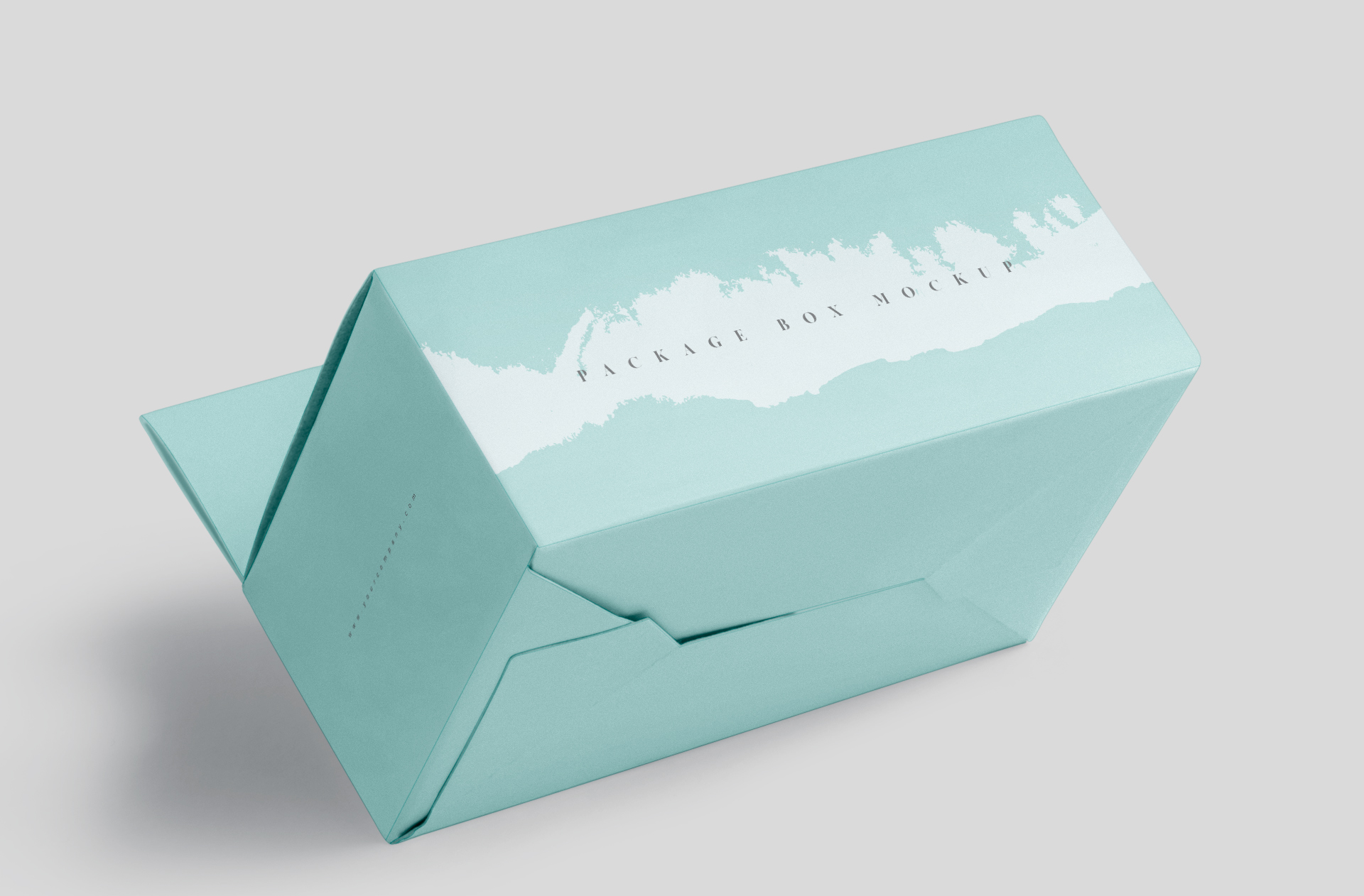 carton packaging