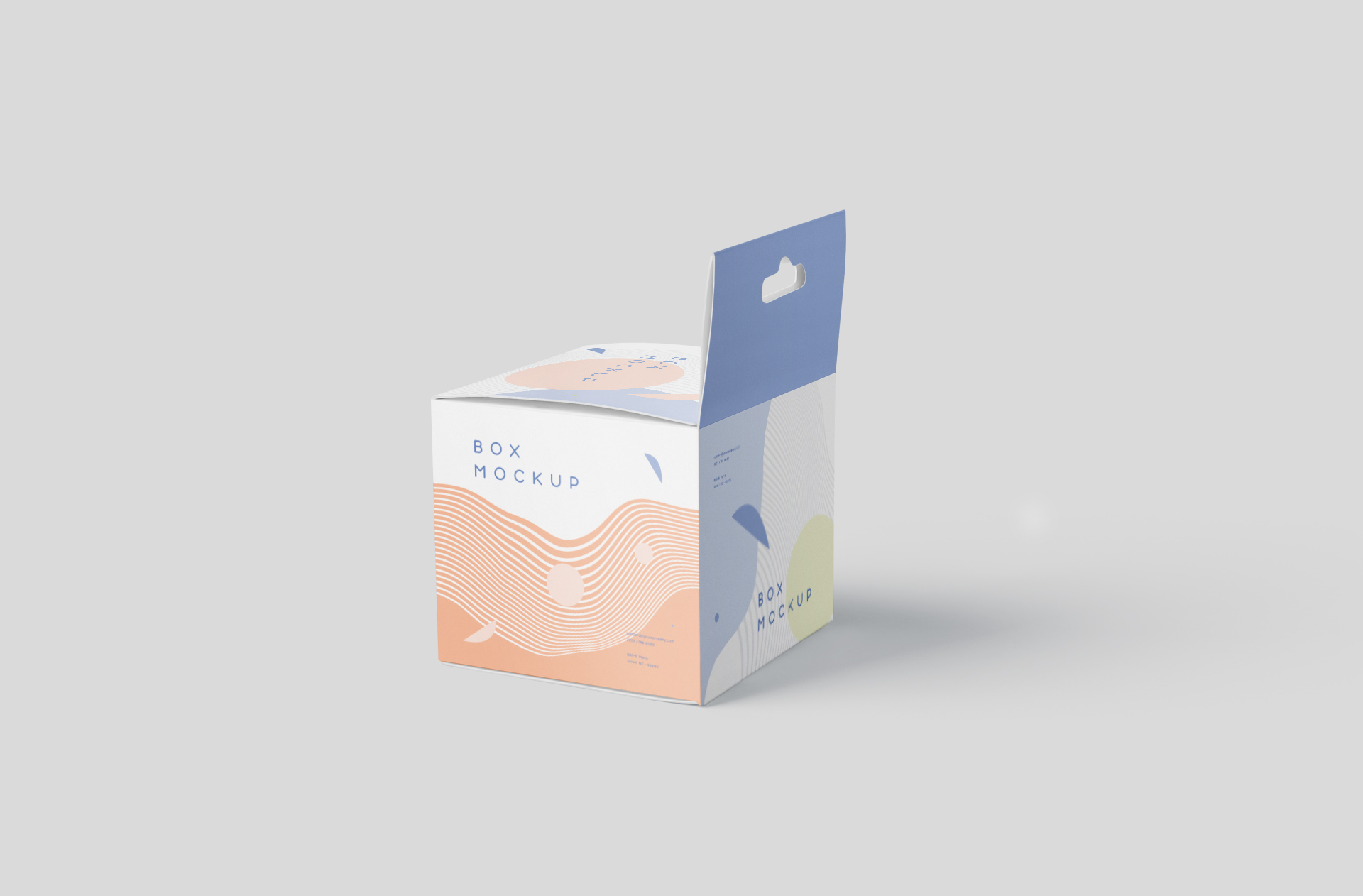 Professional Packaging Box Mock-up with Hanging Tab