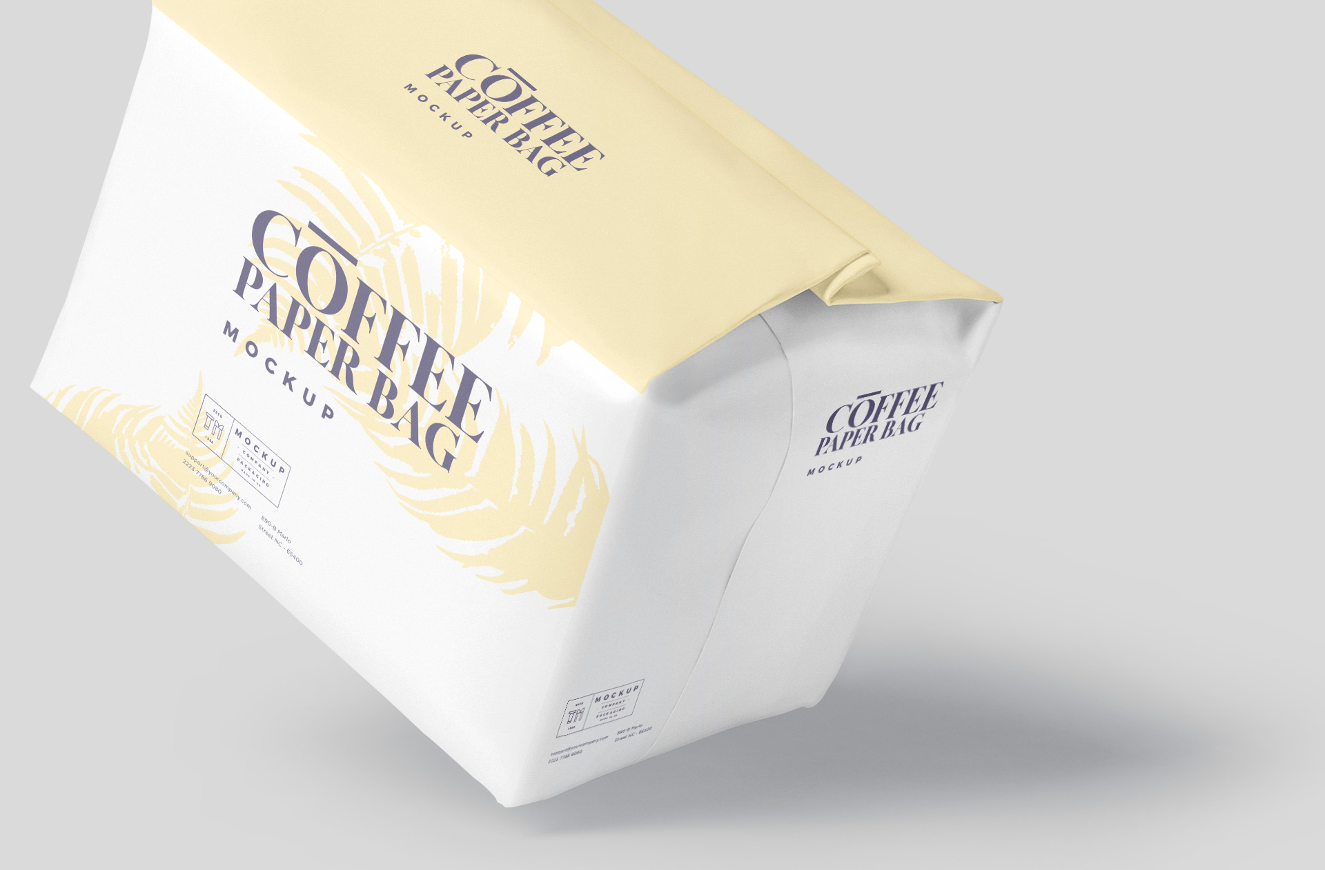 bag mockup