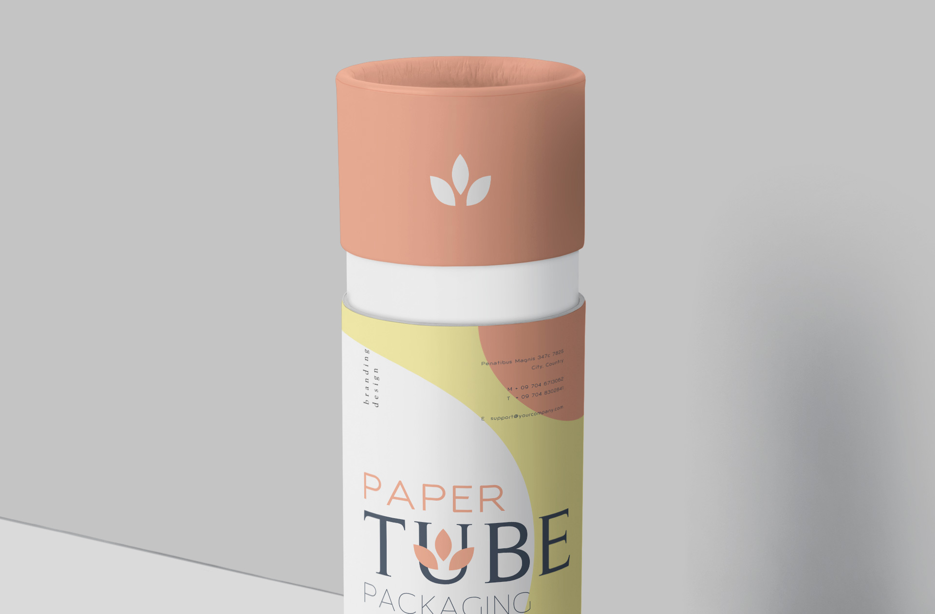 branding mockup