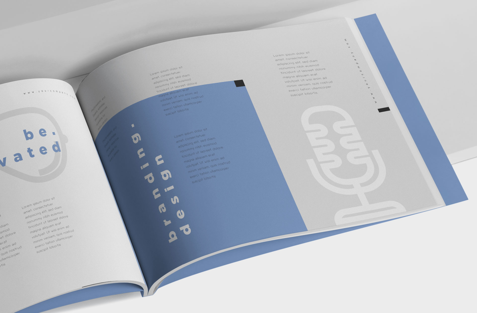 article layout