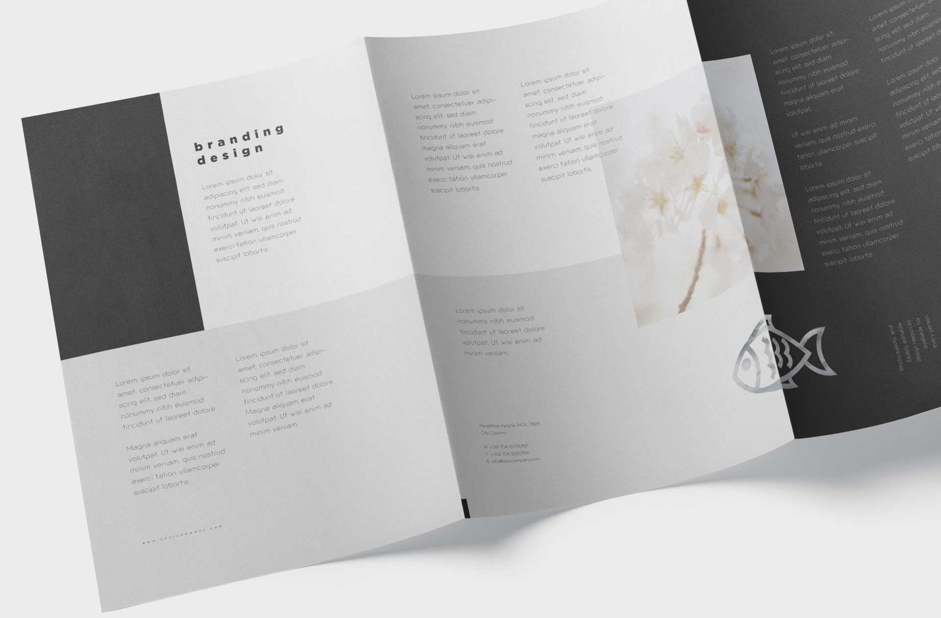 a4 brochure