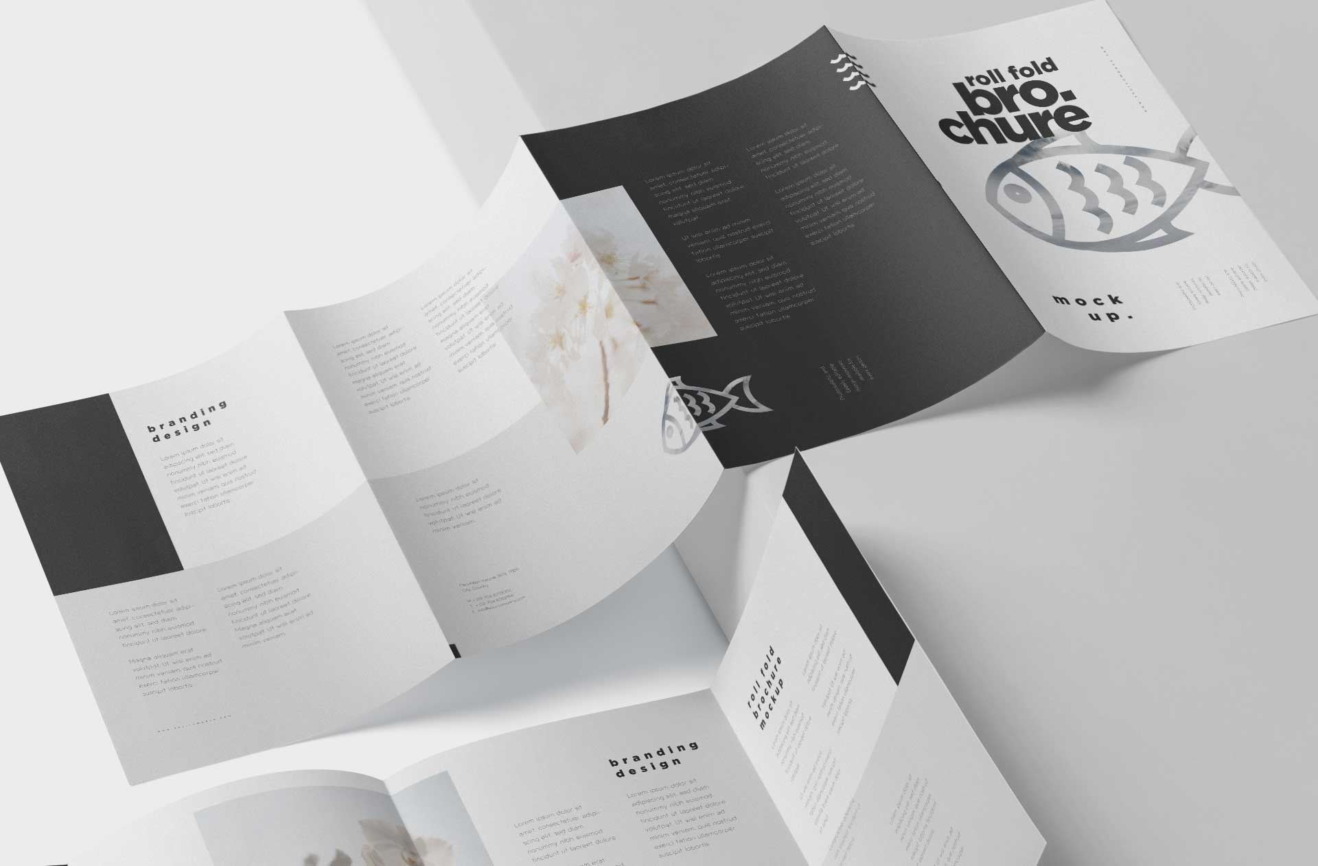advertising brochure