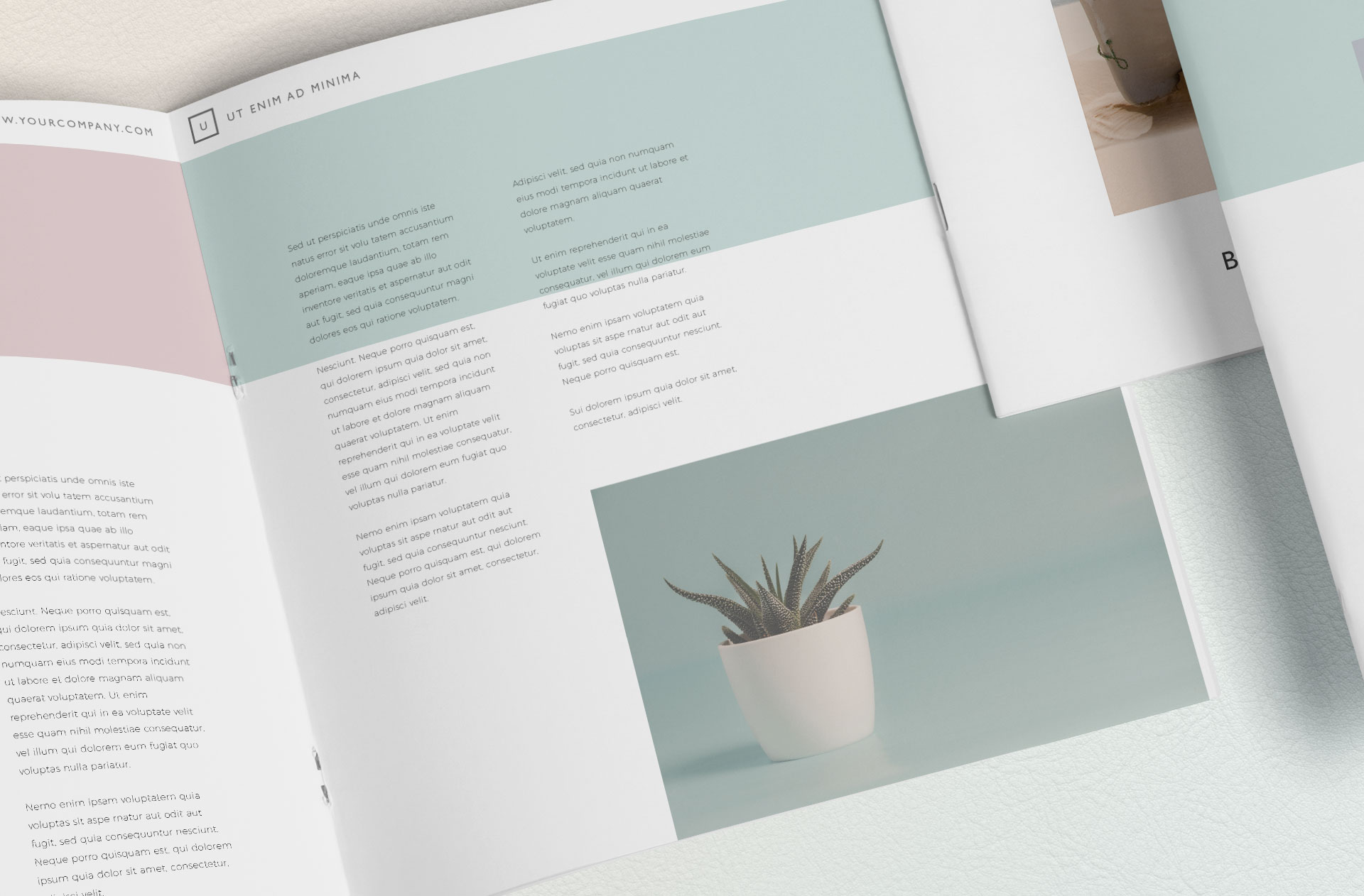 A5 brochure