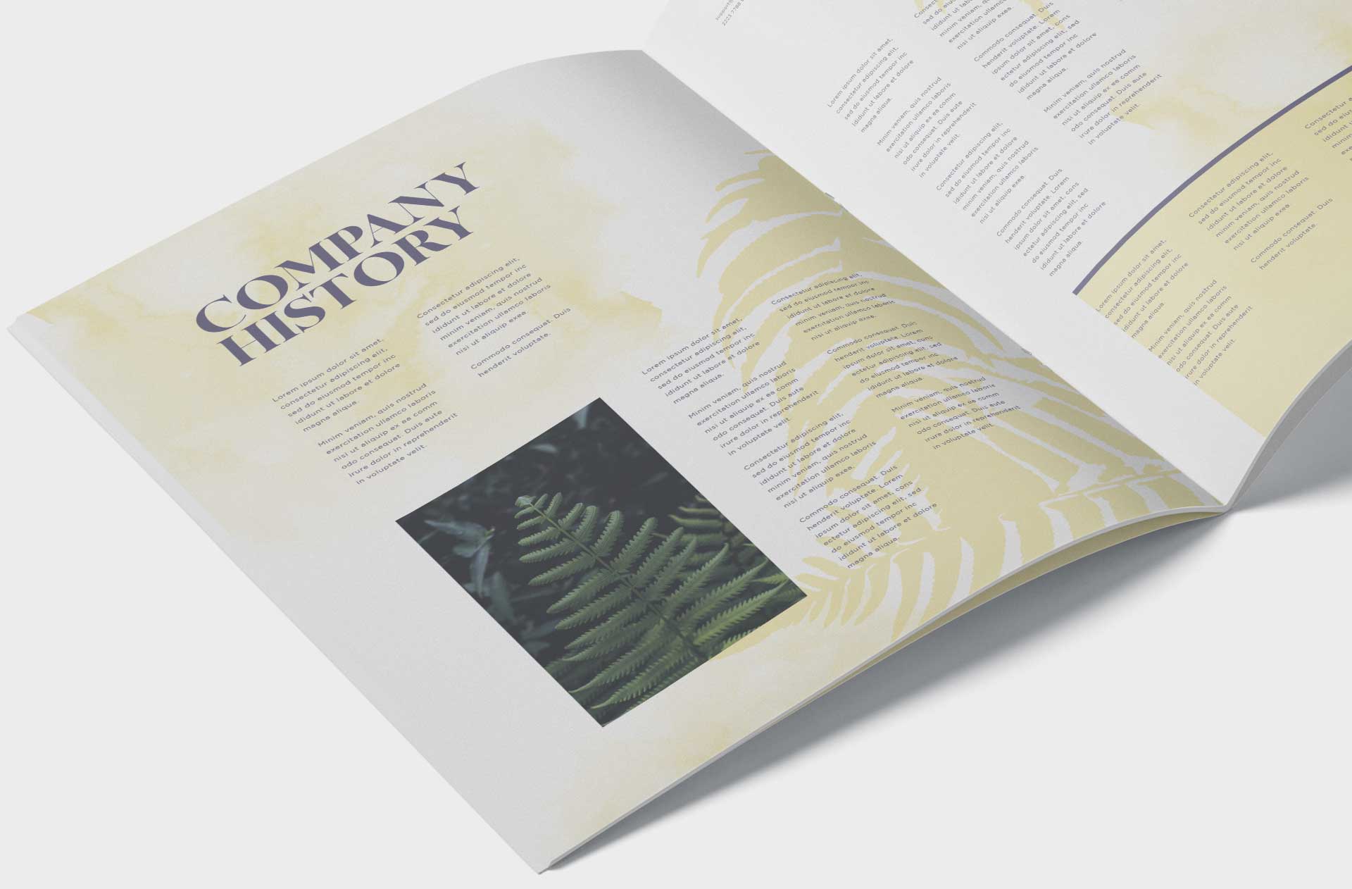A5 brochure