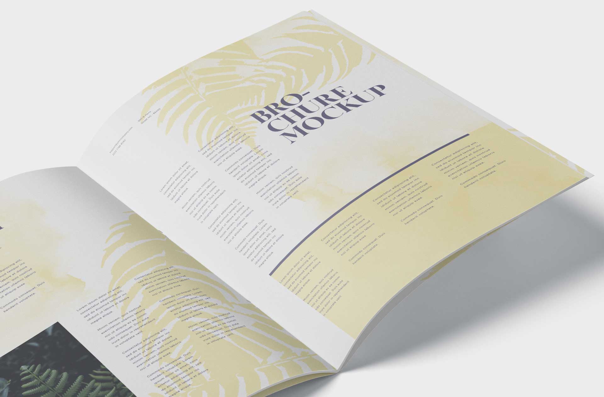 A5 brochure