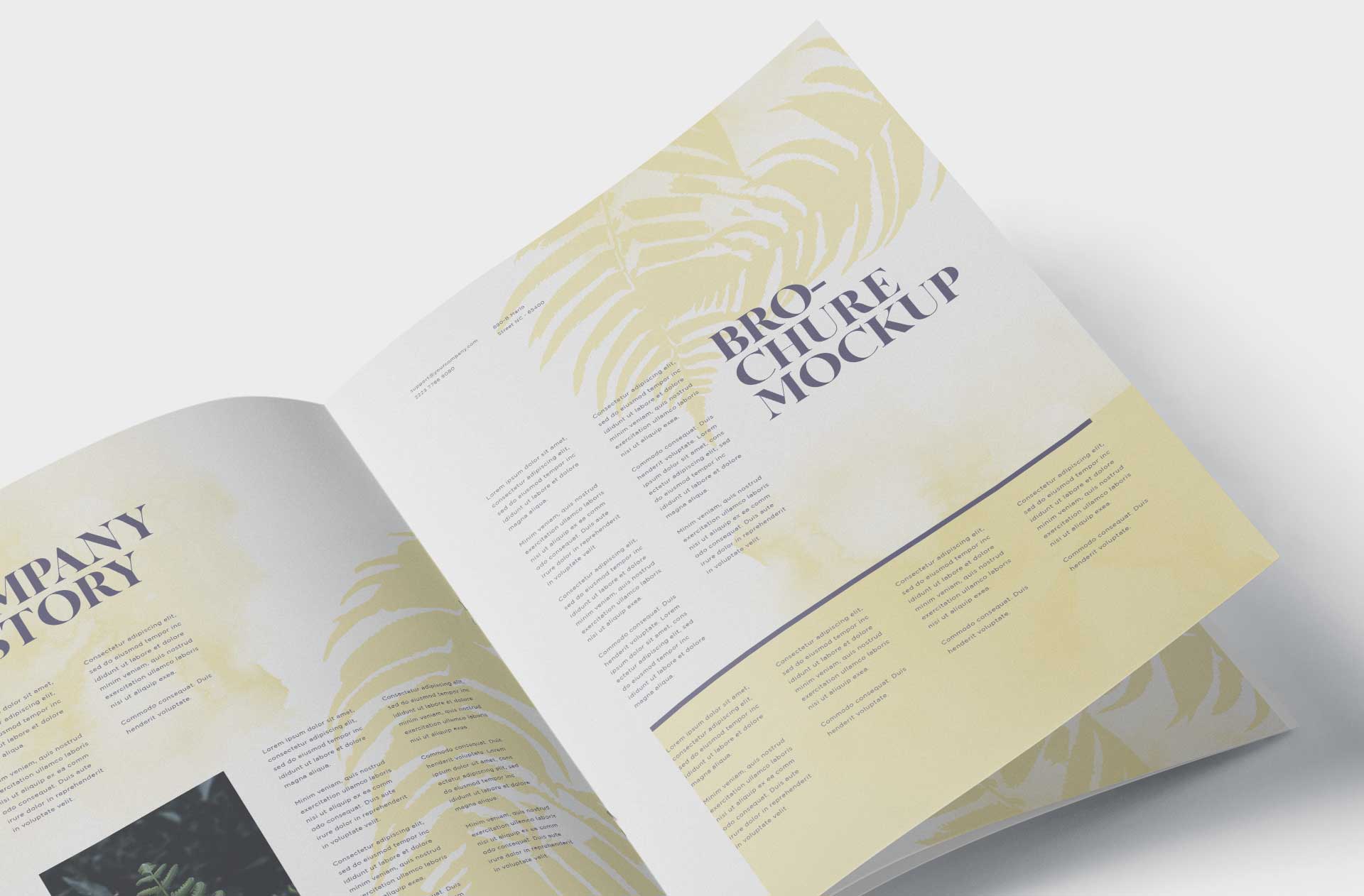 A5 brochure