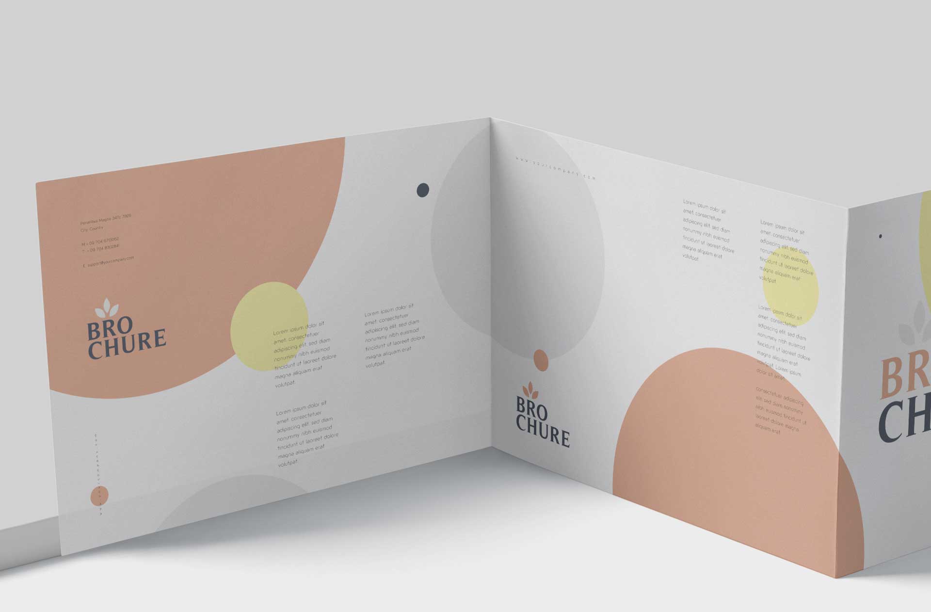 a4 brochure