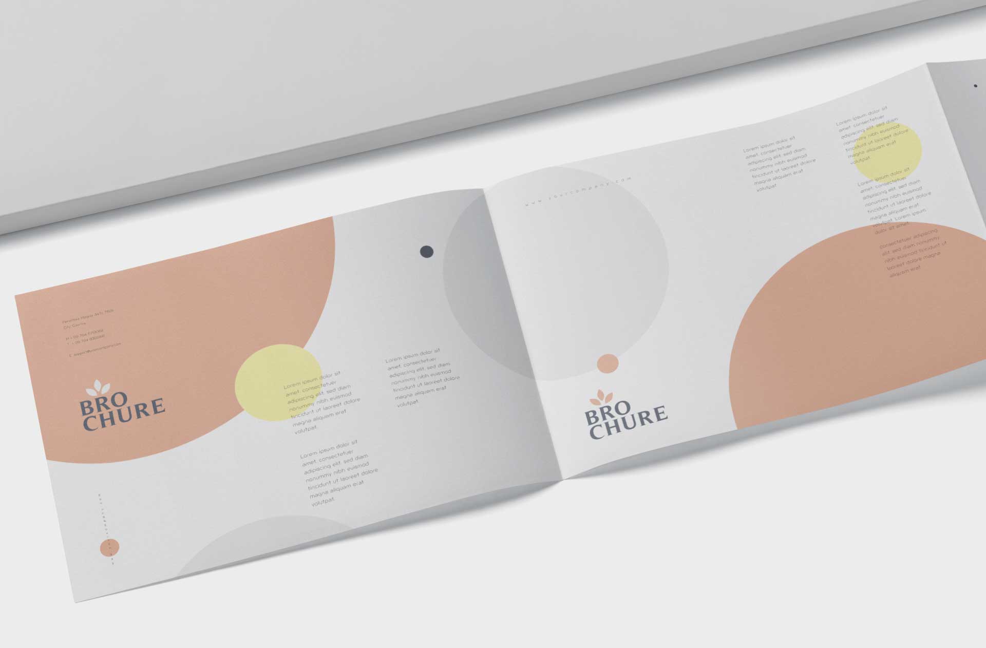 a4 brochure
