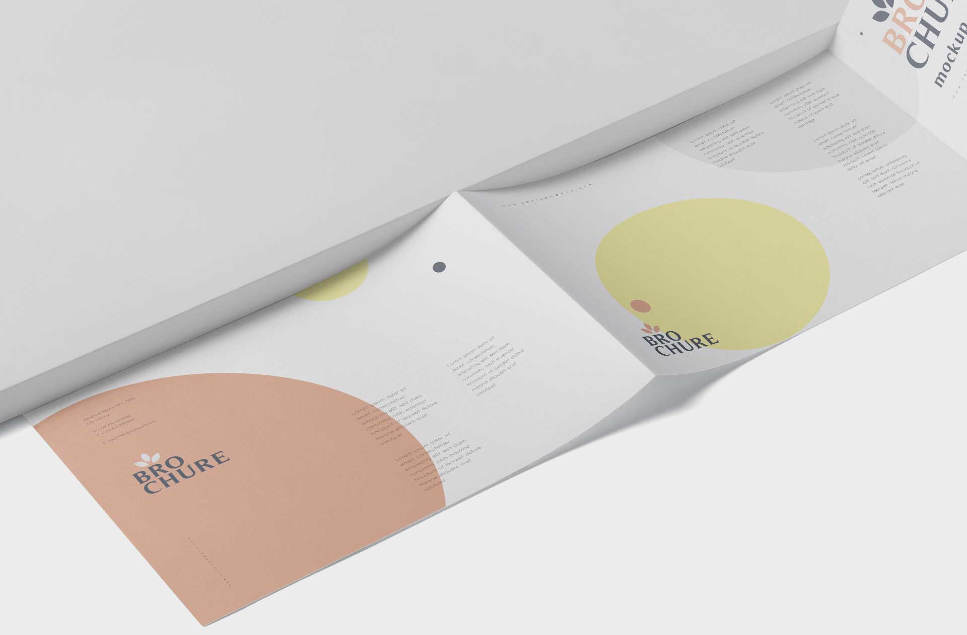 a4 brochure