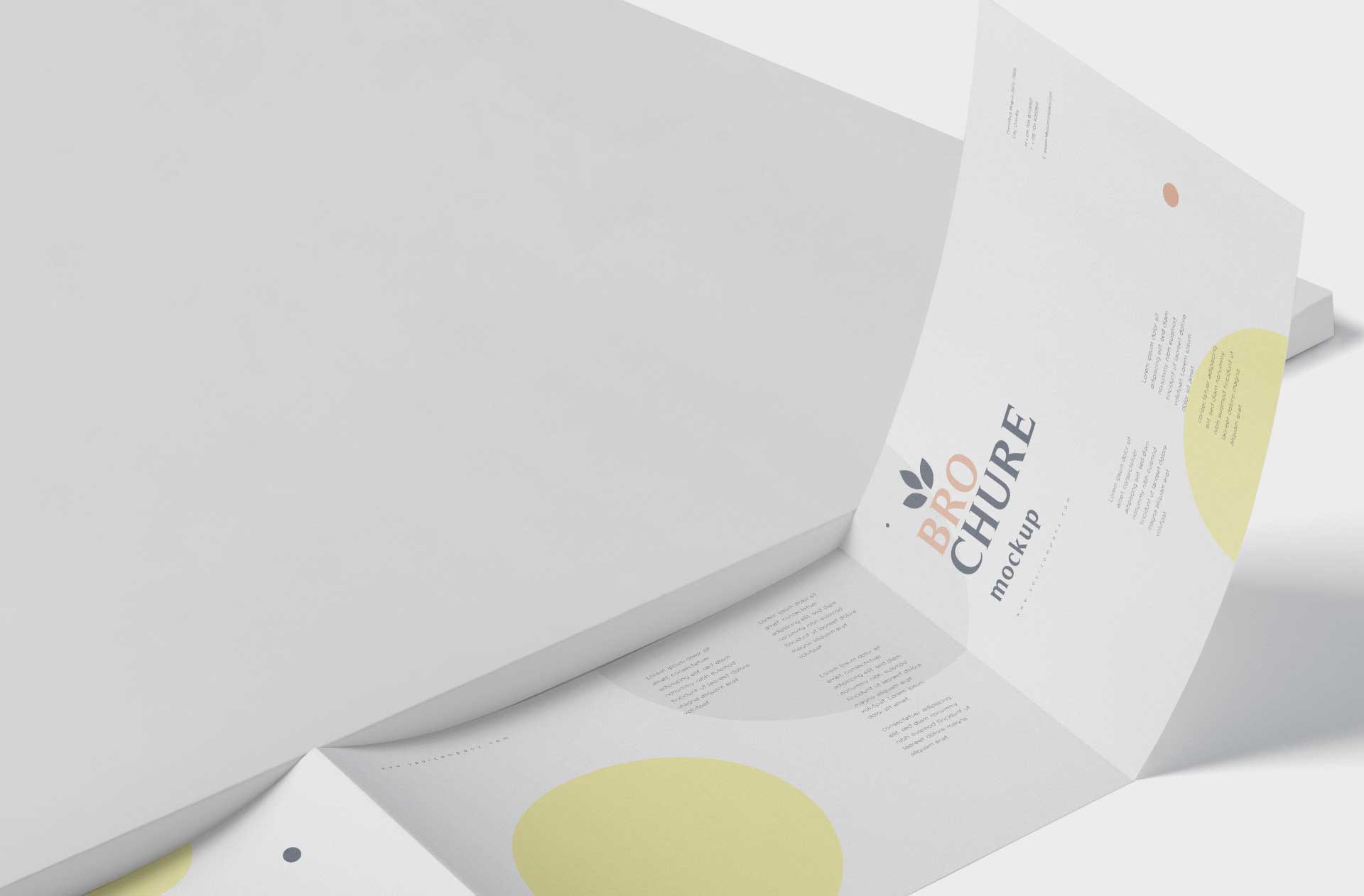 a4 brochure